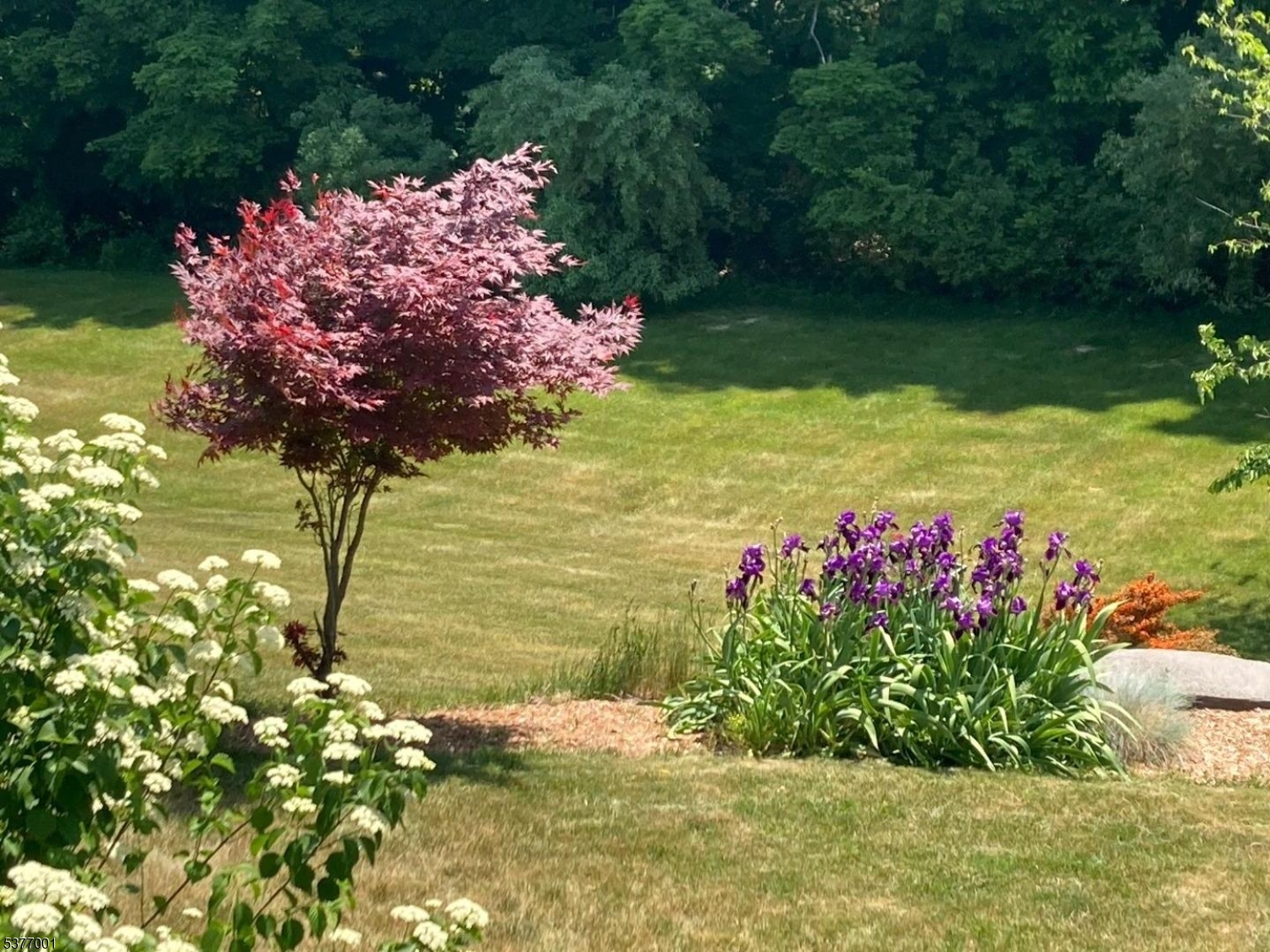 Newton Town, New Jersey, 07860, United States, 4 Bedrooms Bedrooms, ,3 BathroomsBathrooms,Residential,For Sale,1985191