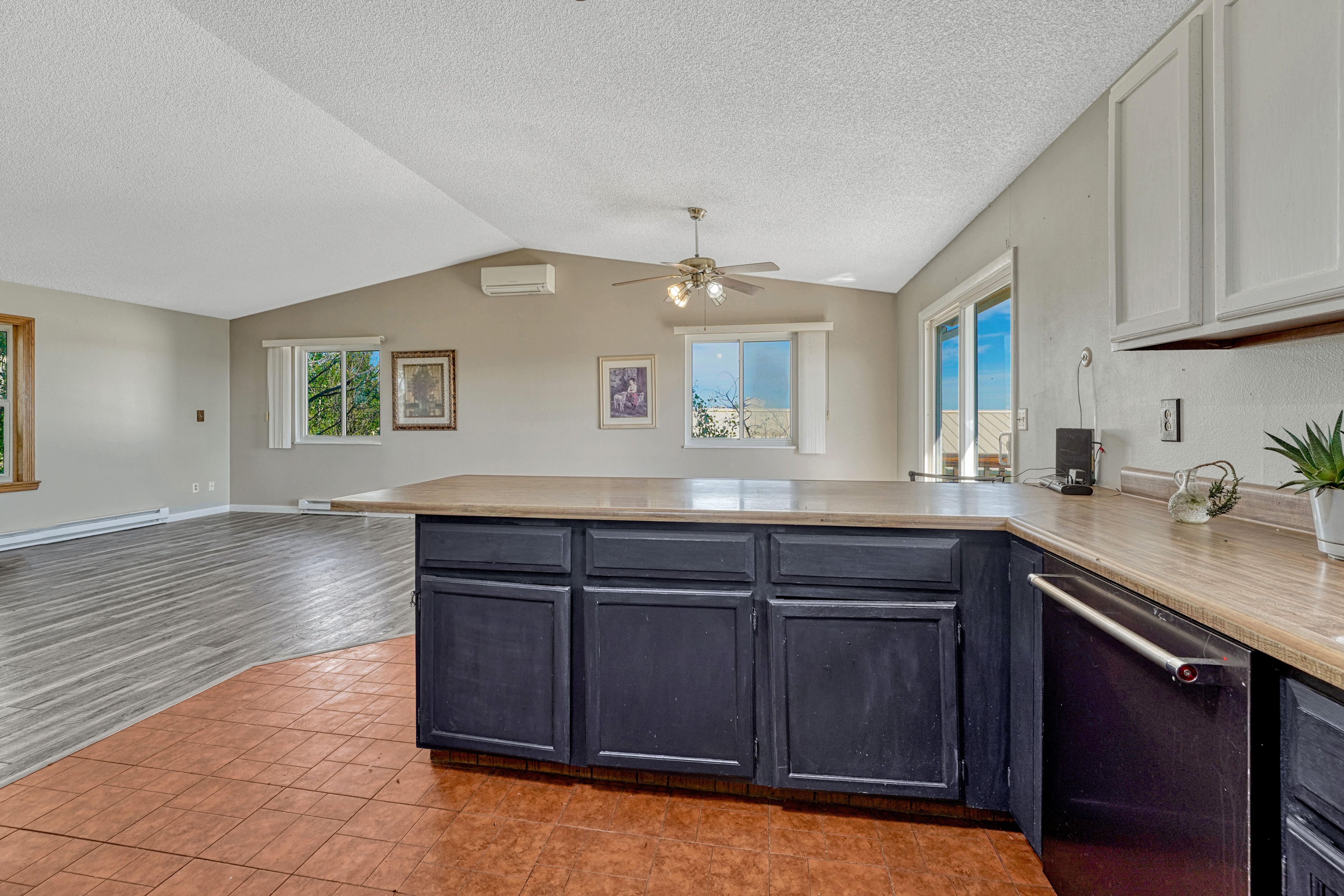  Amazing equestrian property in Black Forest on almost 6 acres - 物件實景