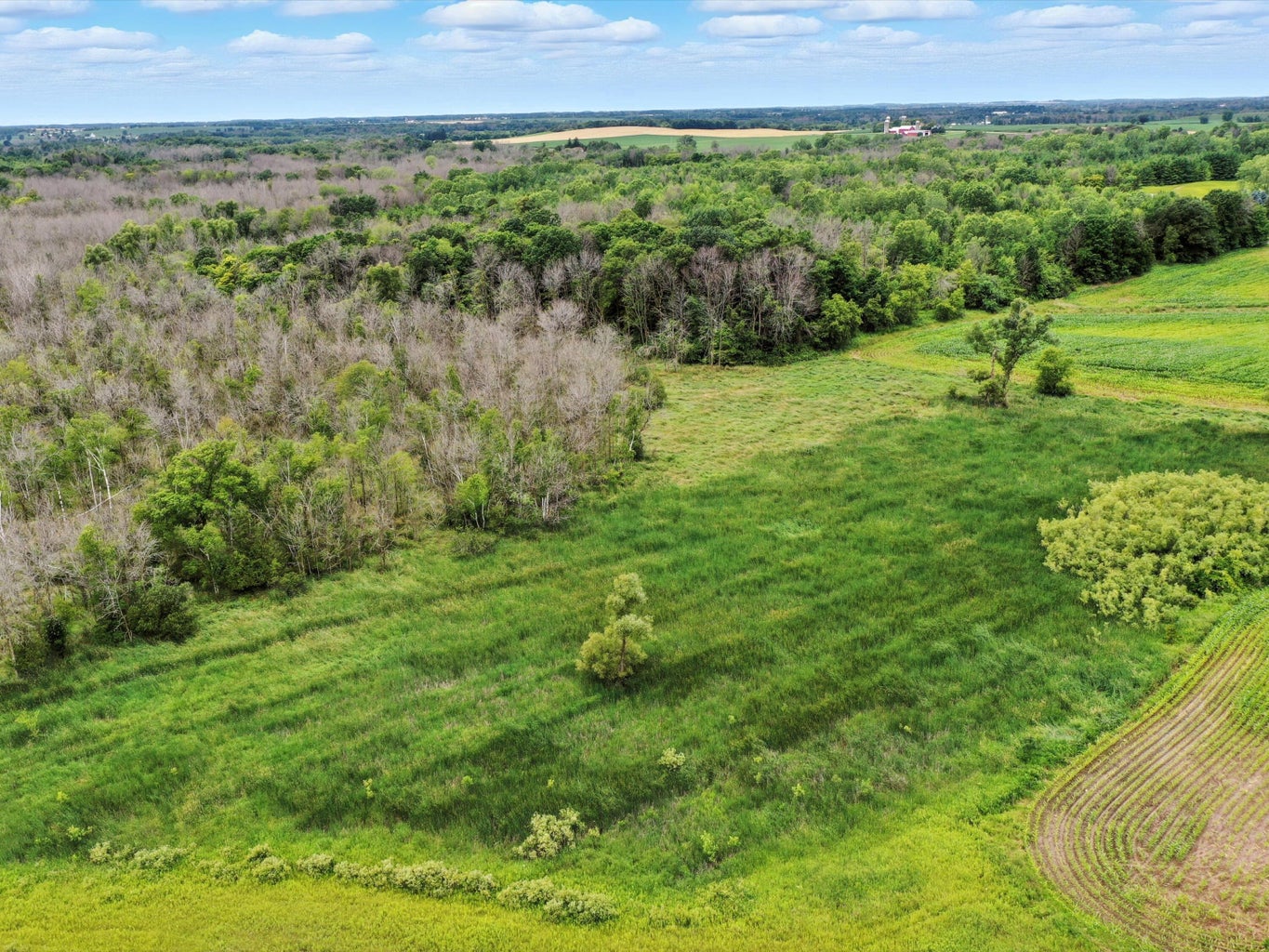 Franklin, Wisconsin, 54247, United States, ,Residential,For Sale,1895286
