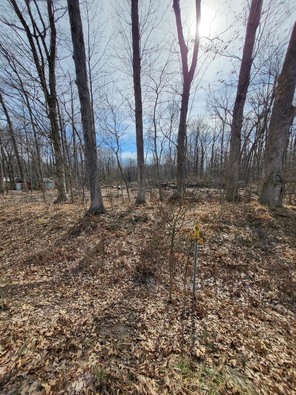 Union Pier, Michigan, 49129, United States, ,Land,For Sale,1989397