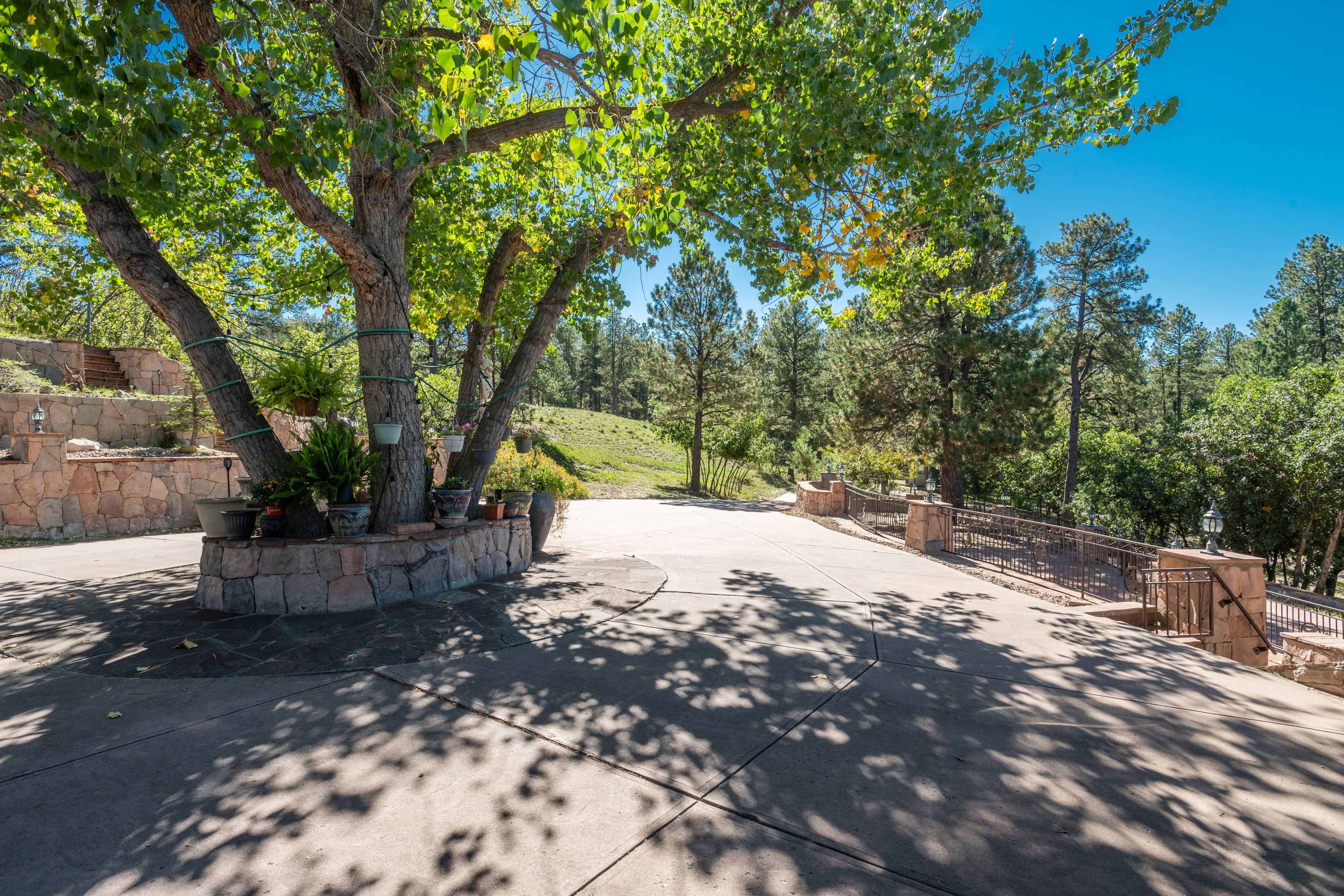  An exceptional opportunity to create a truly one-of-a-kind Colorado estate - 物件實景