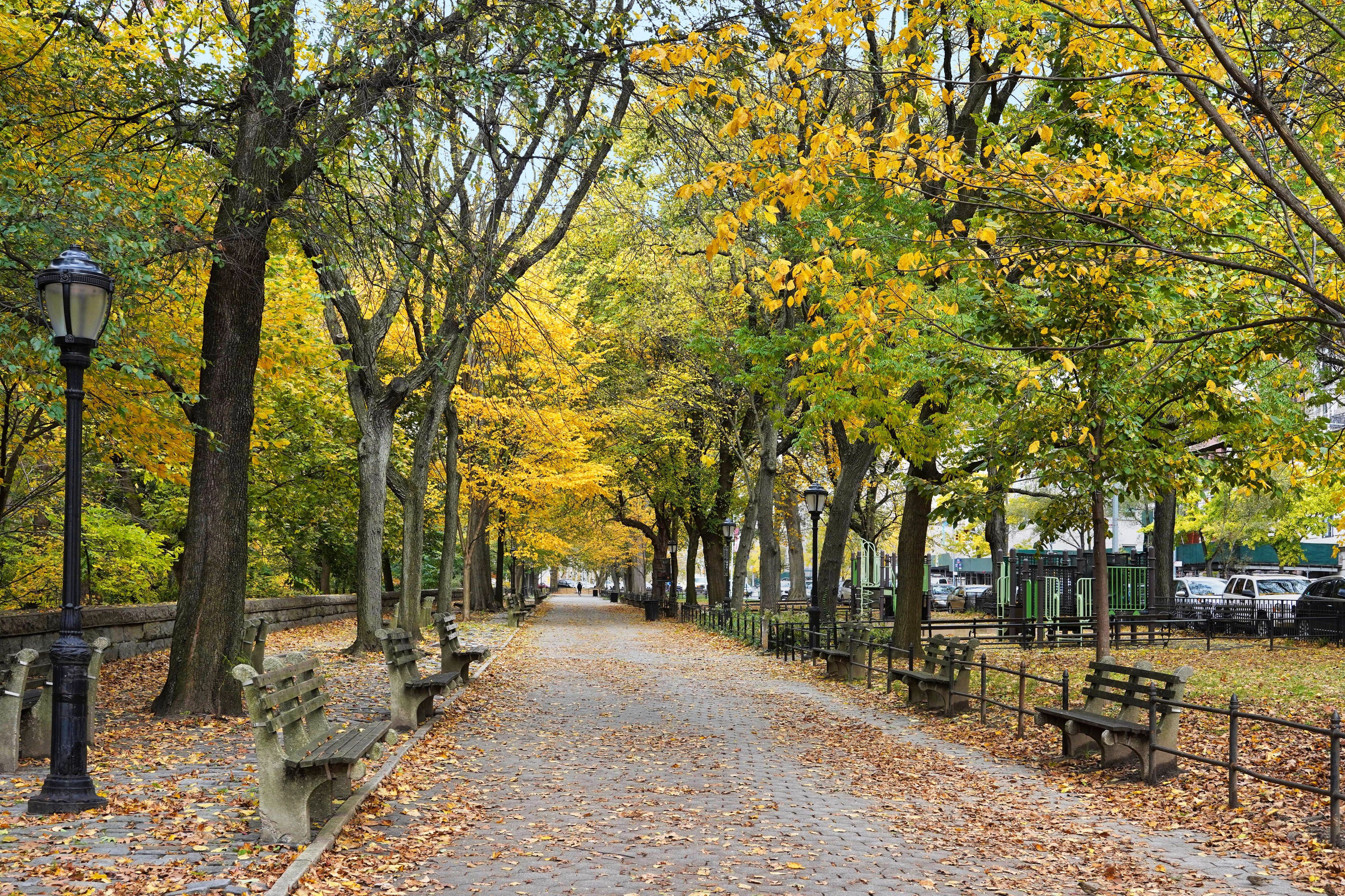  180 West 93rd Street - 物件實景