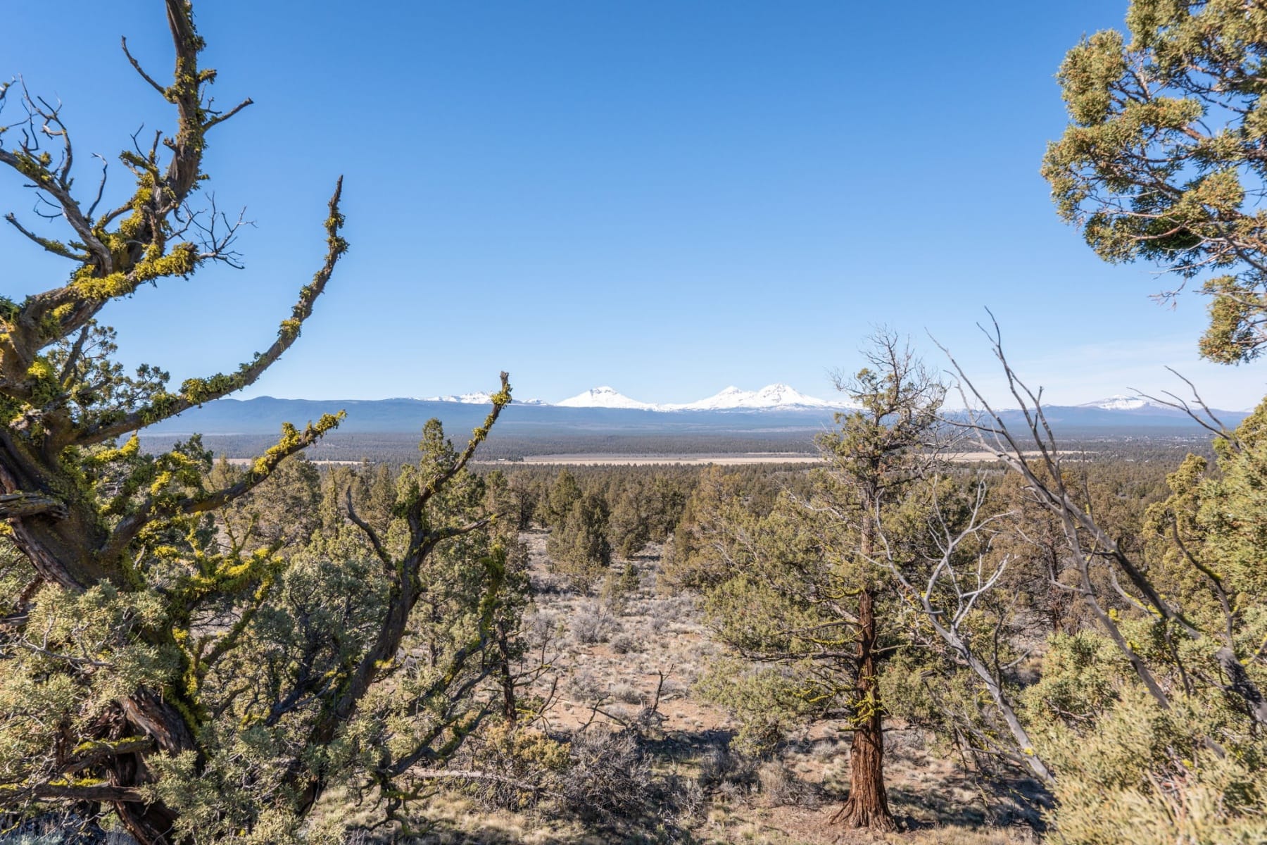  19040 Dusty Loop Bend, OR 97703 - 物件實景