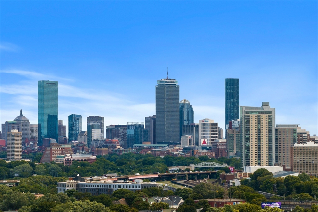 Boston, Massachusetts, 02135, United States, 1 Bedroom Bedrooms, ,1 BathroomBathrooms,Residential,For Sale,1977767