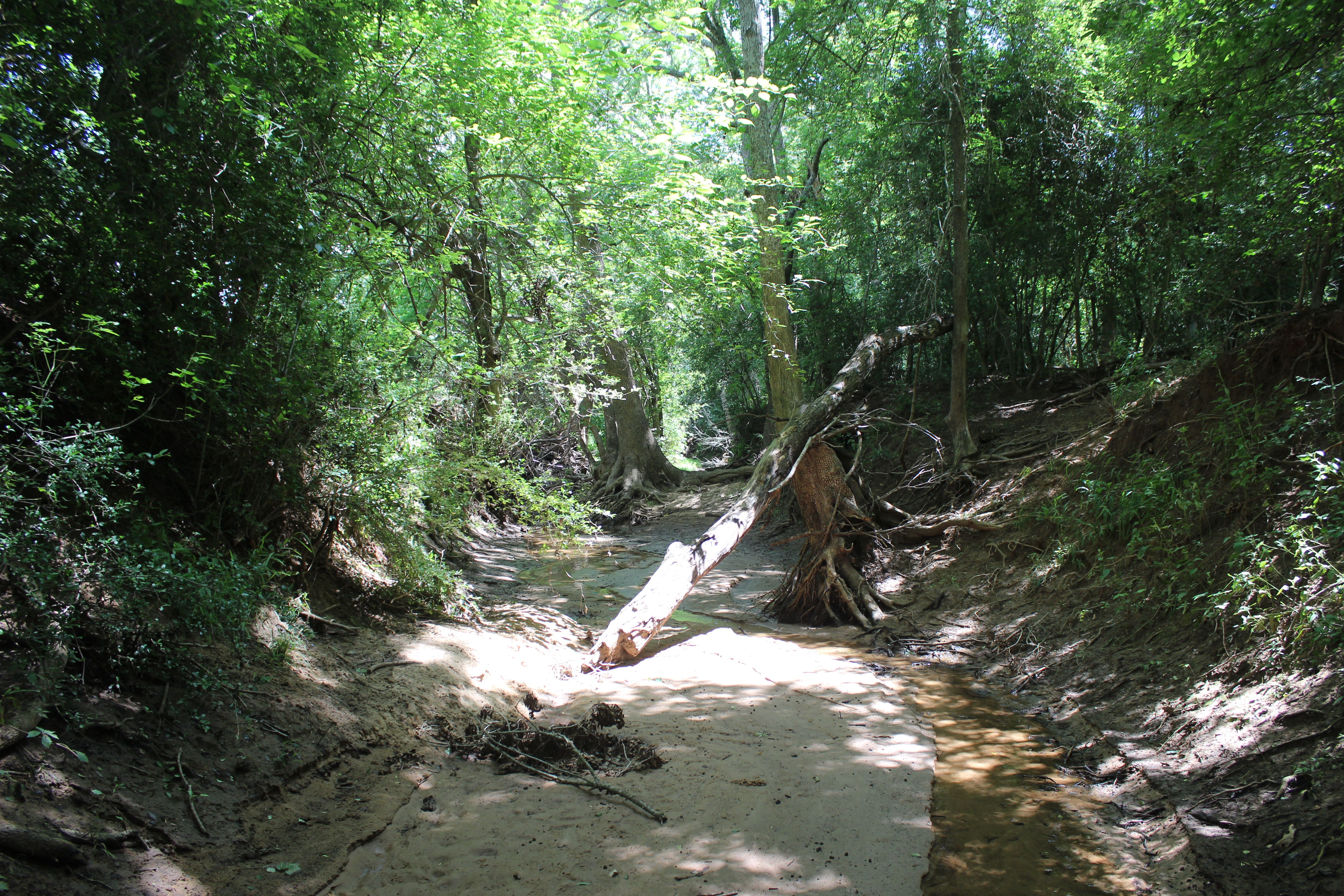  Buck Branch Ranch - 物件實景