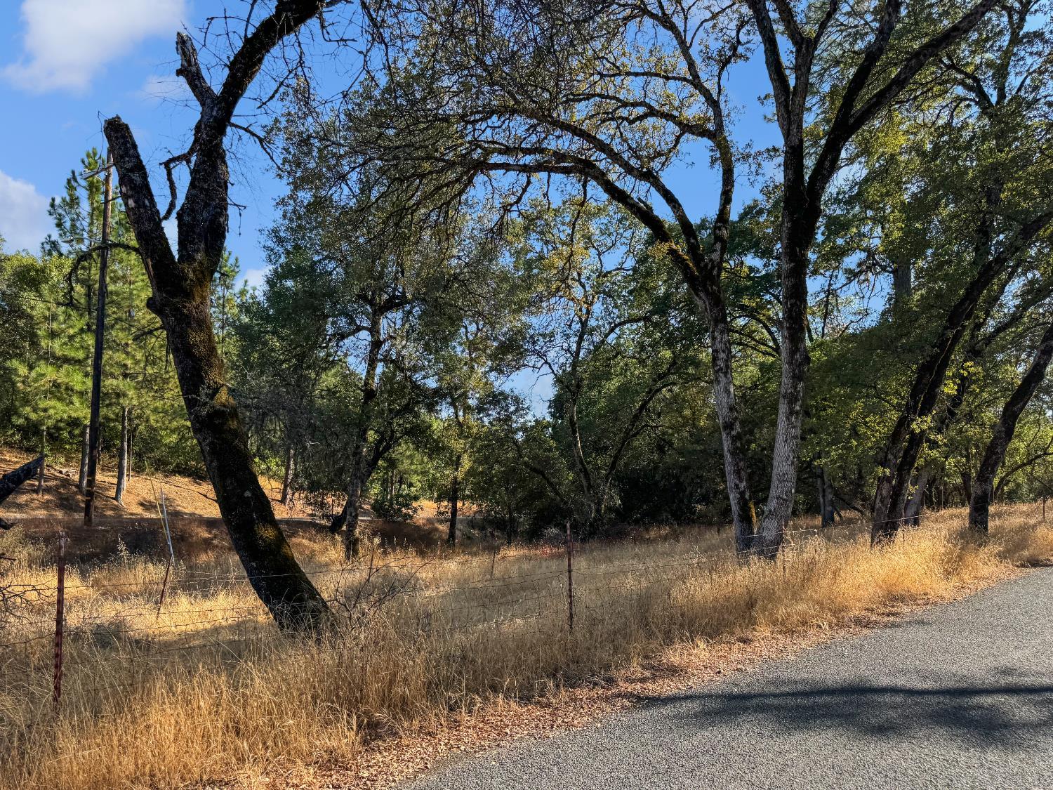 Auburn, California, 95603, United States, ,Residential,For Sale,1935188