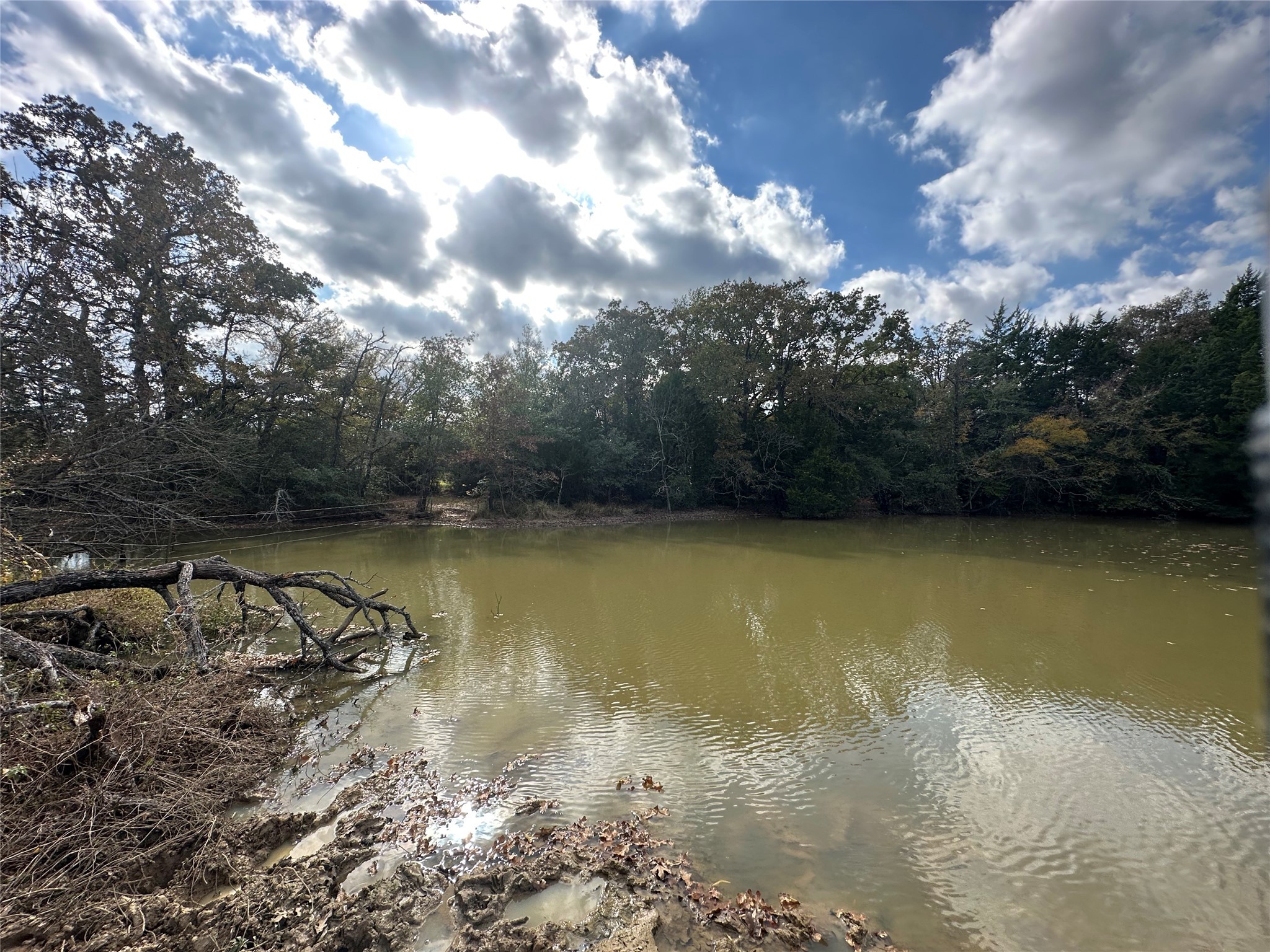 Thornton, Texas, 76687, United States, ,Land,For Sale,1995546