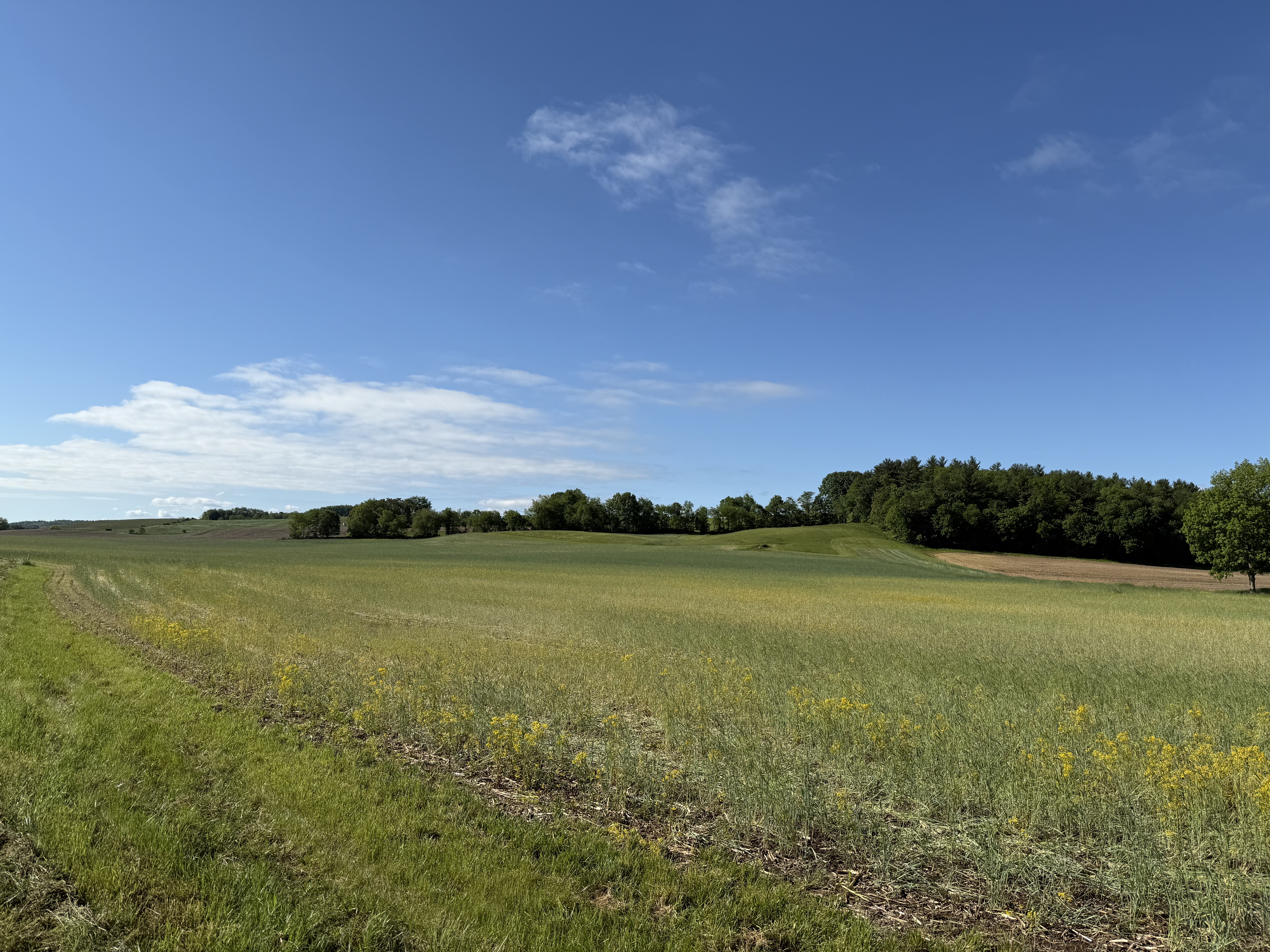 West Lafayette, Ohio, 43845, United States, ,Residential,For Sale,1825407