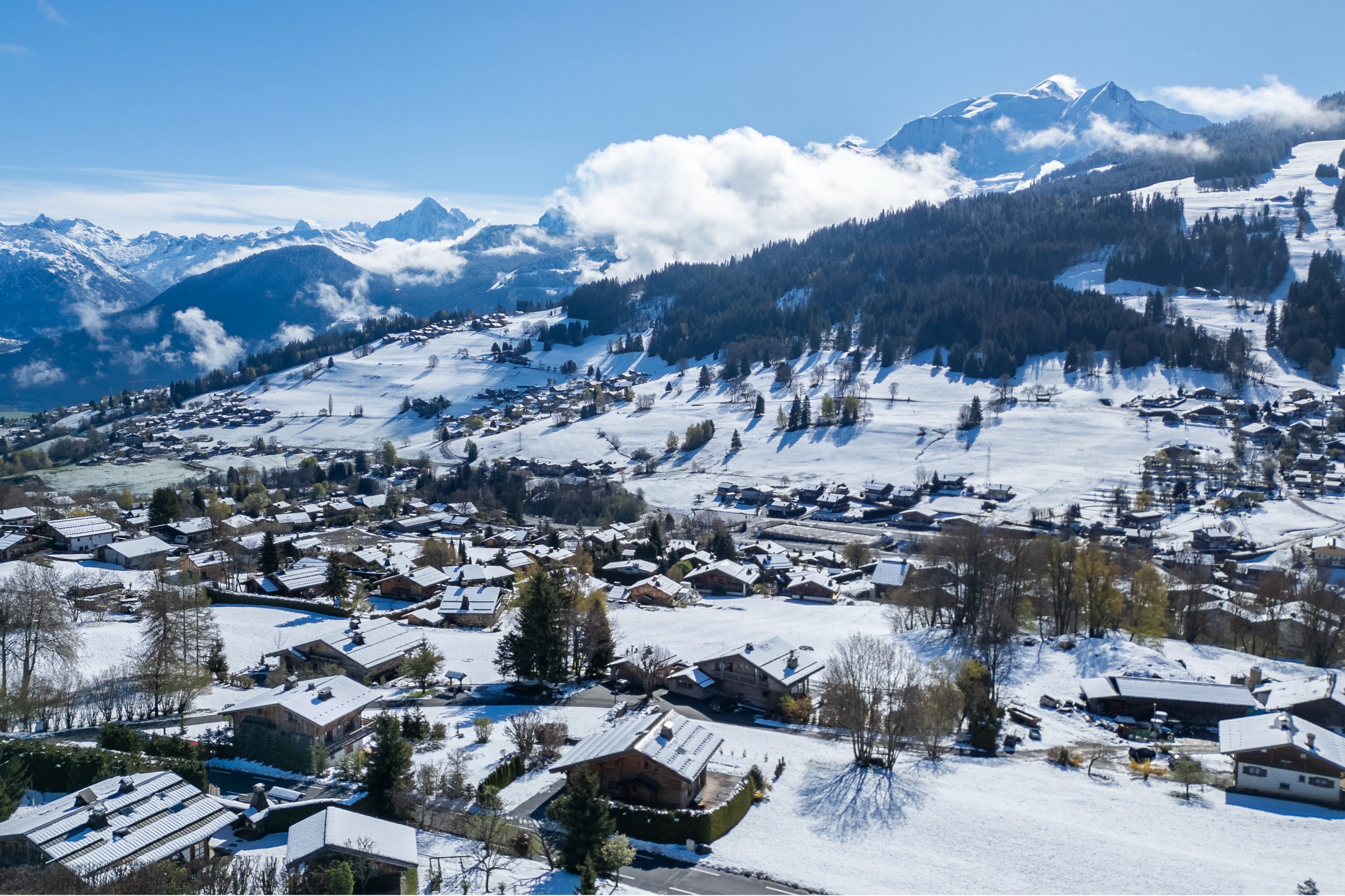  Chalet Orma - Breathtaking view of Mont Blanc - 物件實景