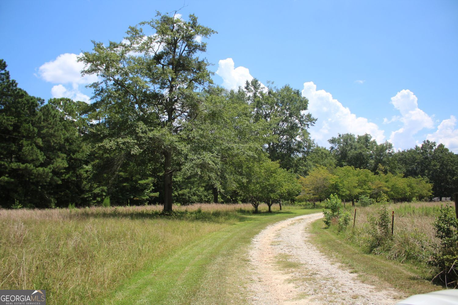 Hampton, Georgia, 30228, United States, 3 Bedrooms Bedrooms, ,2 BathroomsBathrooms,Residential,For Sale,1858879