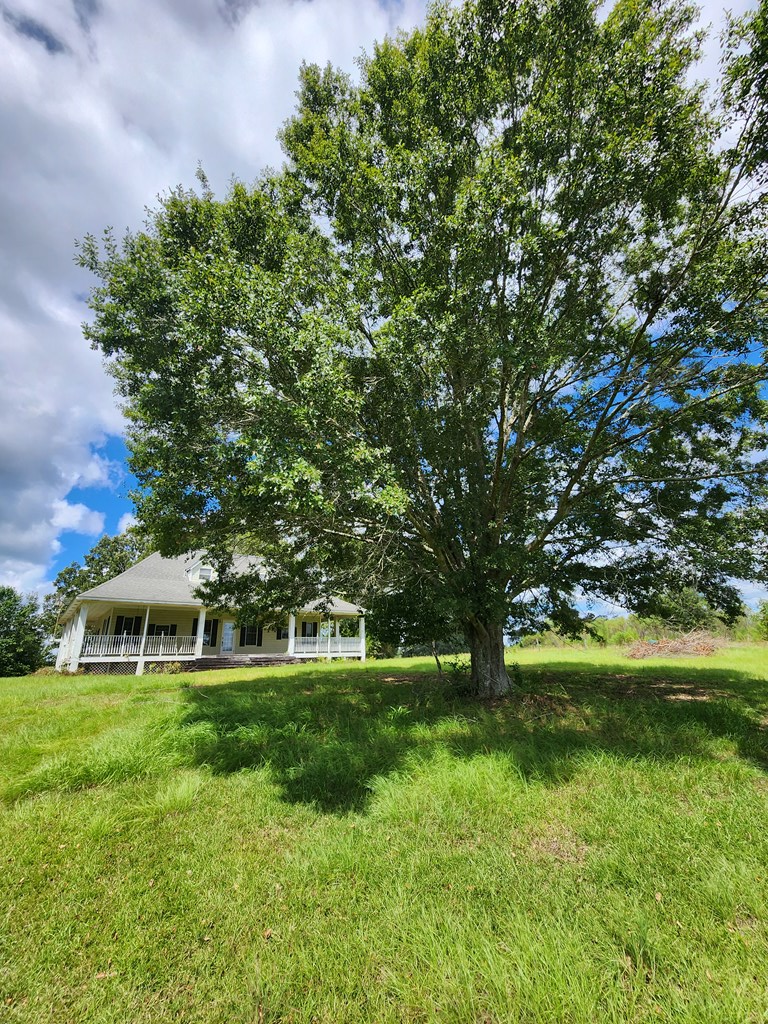 Pansey, Alabama, 36370, United States, 3 Bedrooms Bedrooms, ,3 BathroomsBathrooms,Residential,For Sale,1943922