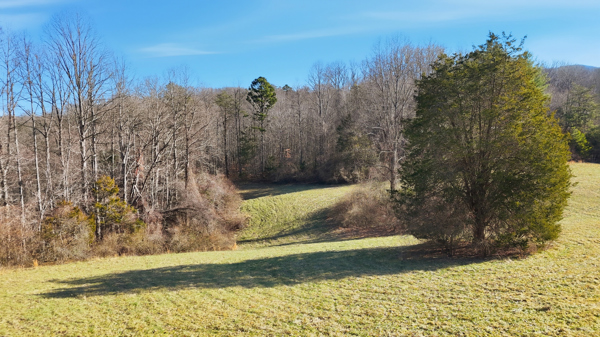 Middlesboro, Kentucky, 40965, United States, 3 Bedrooms Bedrooms, ,2 BathroomsBathrooms,Residential,For Sale,2012565