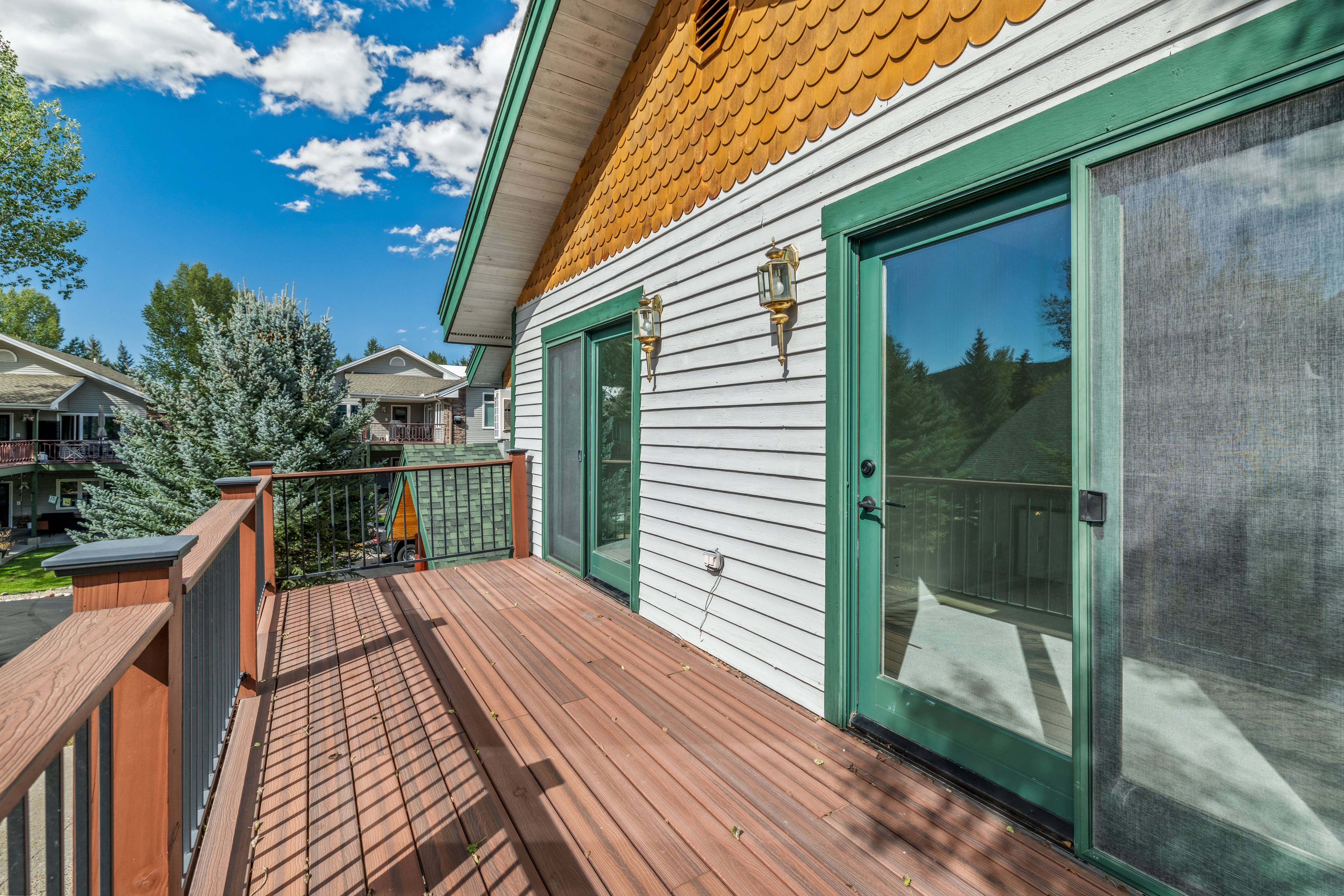  1607 Thistlebrook Lane, Steamboat Springs, CO, 80487 - 物件實景