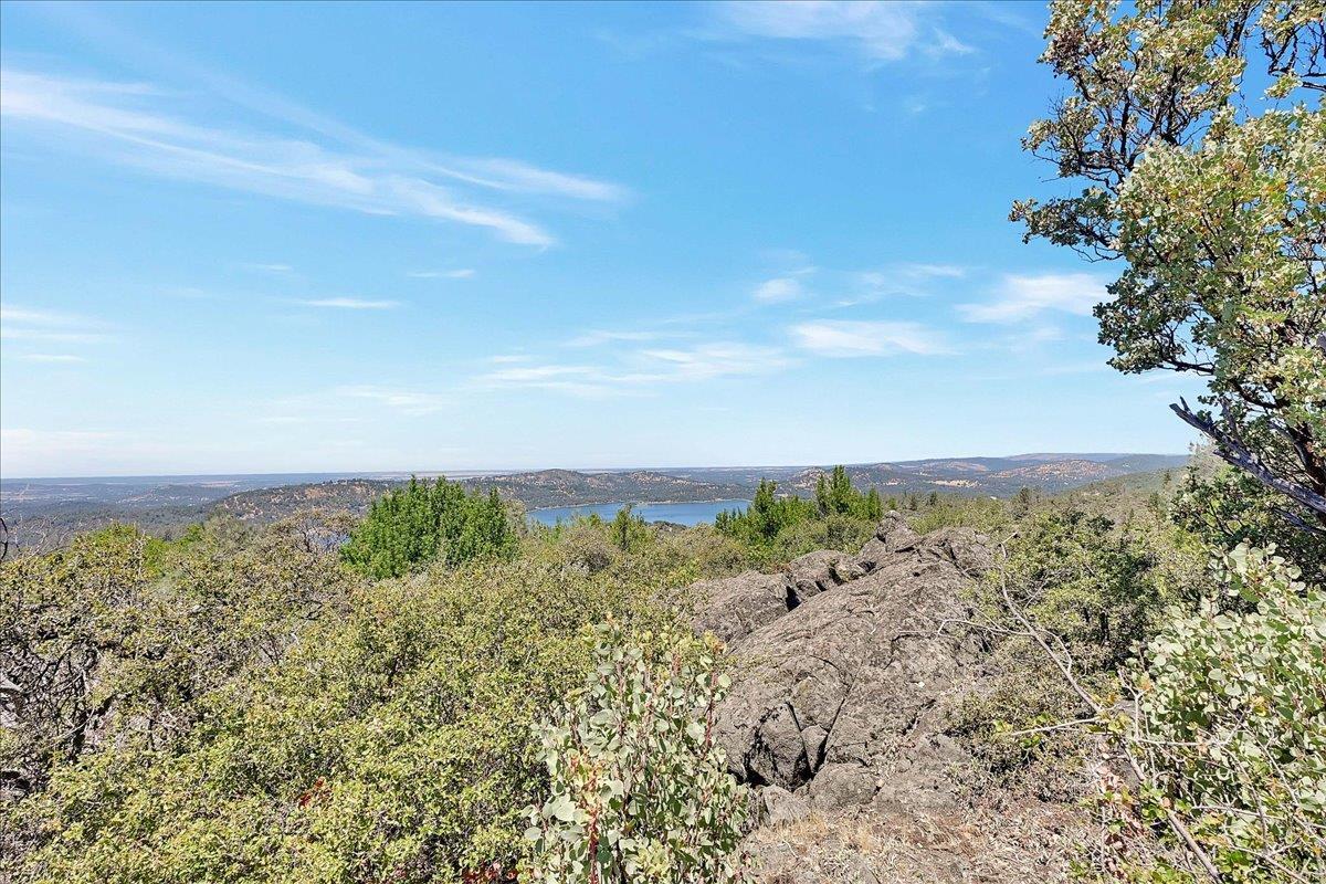 Oregon House, California, 95962, United States, ,Land,For Sale,1975767