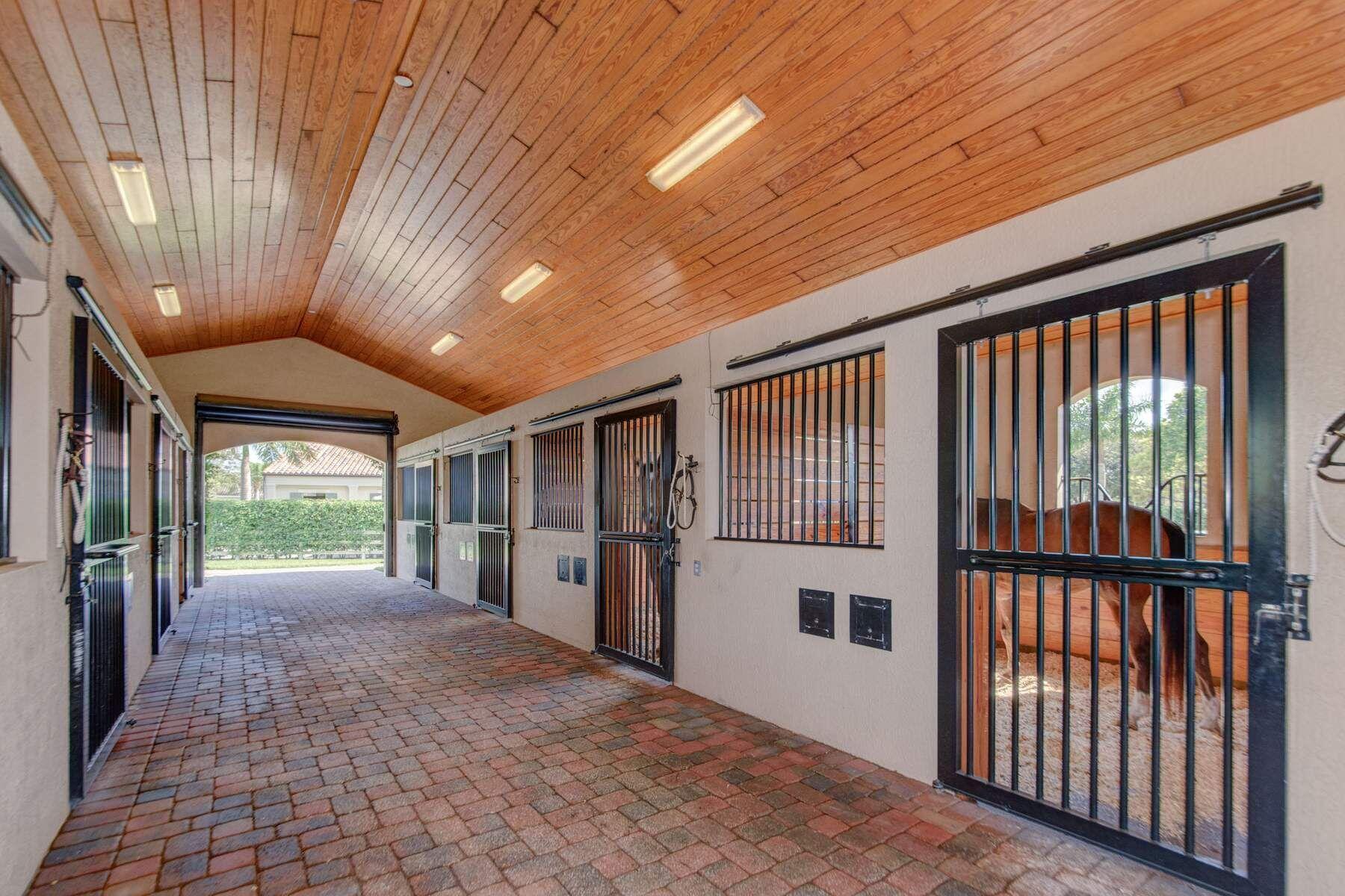  14911 Equestrian Way - 物件實景