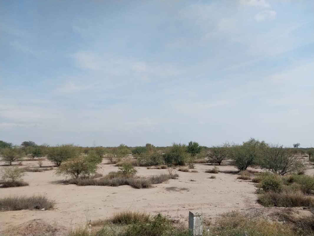 CARRETERA TORREON - SAN PEDRO, Torreón, Coahuila de Zaragoza, 27416, Mexico, 1 Bedroom Bedrooms, ,Residential,For Sale,CARRETERA TORREON - SAN PEDRO,1143920