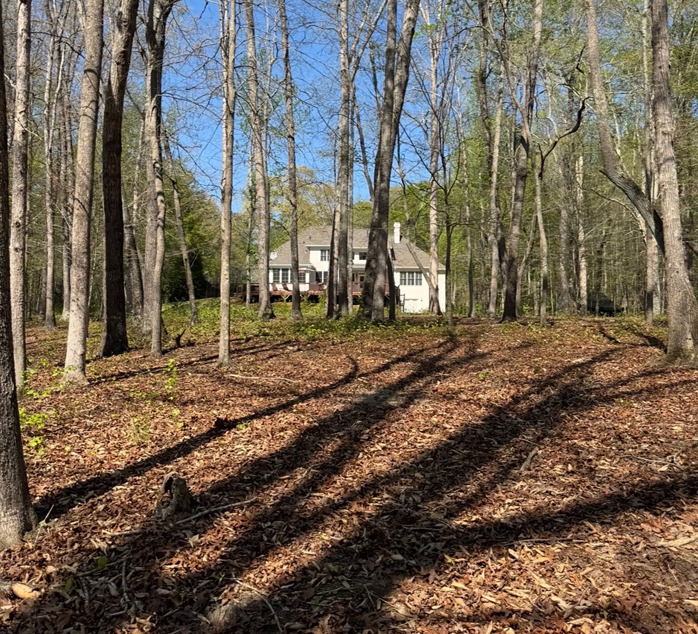  Stunning Custom Craftsman on 5.5± Acres - 物件實景