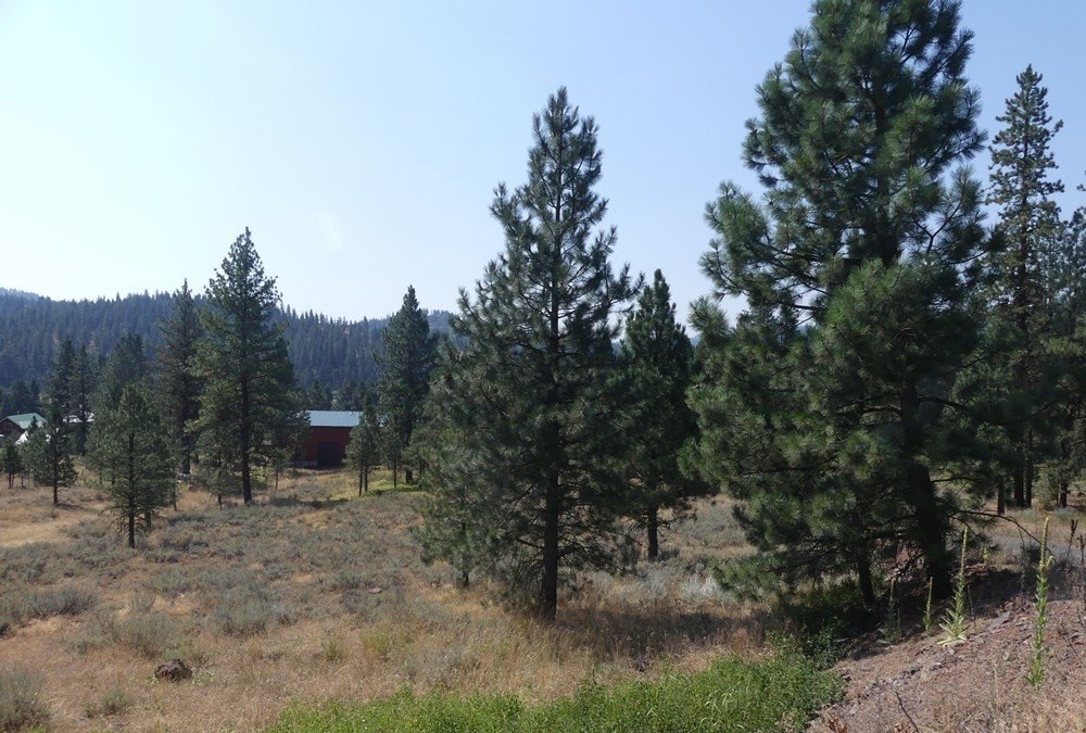 New Meadows, Idaho, 83654, United States, 3 Bedrooms Bedrooms, ,2 BathroomsBathrooms,Residential,For Sale,1810629