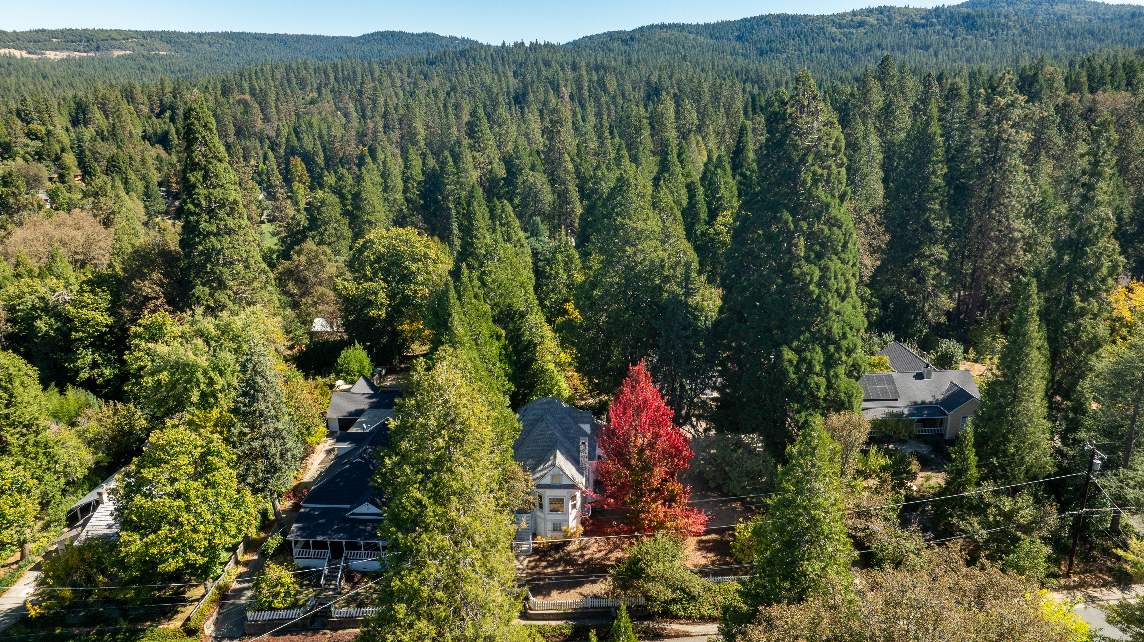  337 Clay Street, Nevada City, CA 95959 - 物件實景