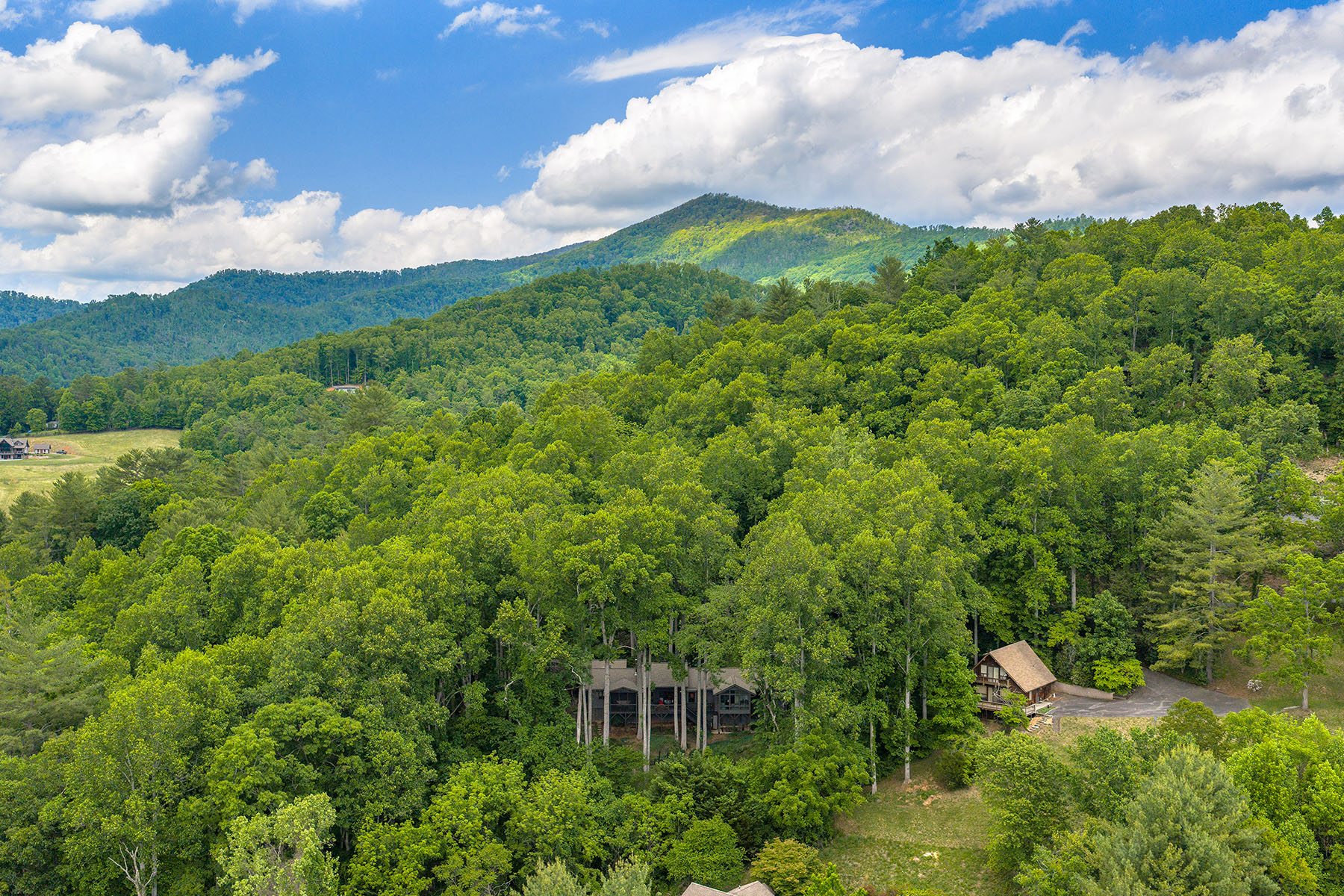  ASHEVILLE - 物件實景
