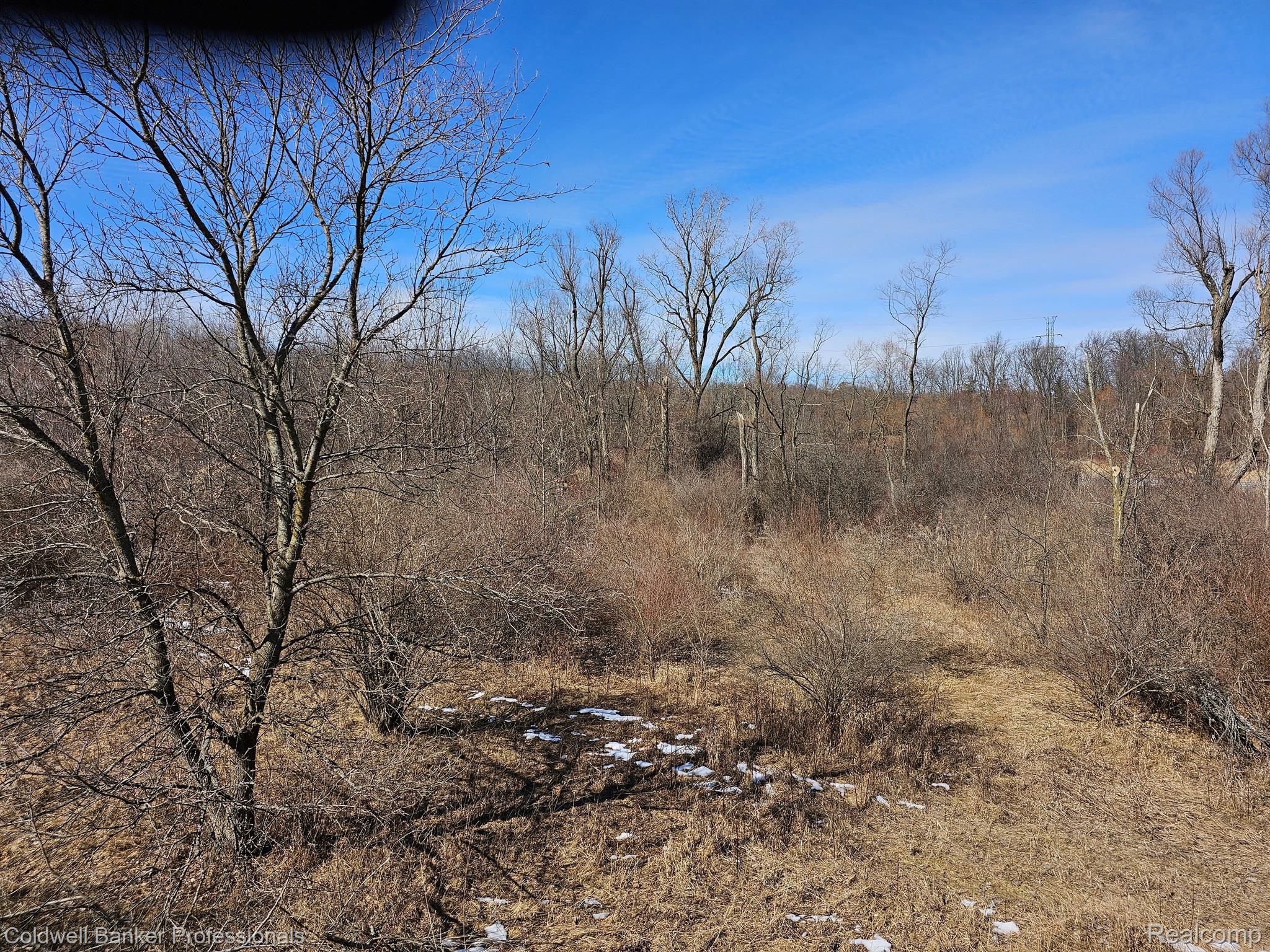 Metamora, Michigan, 48455, United States, ,Land,For Sale,1736755