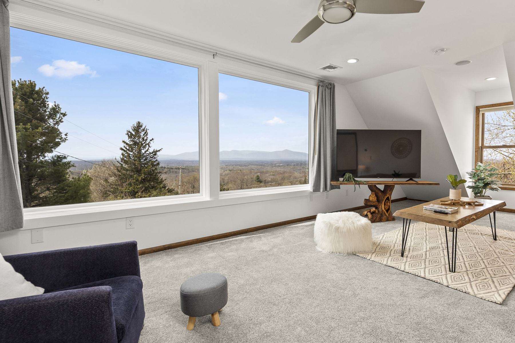 350 Taghkanic Road, Elizaville, NY 12523 - 物件實景