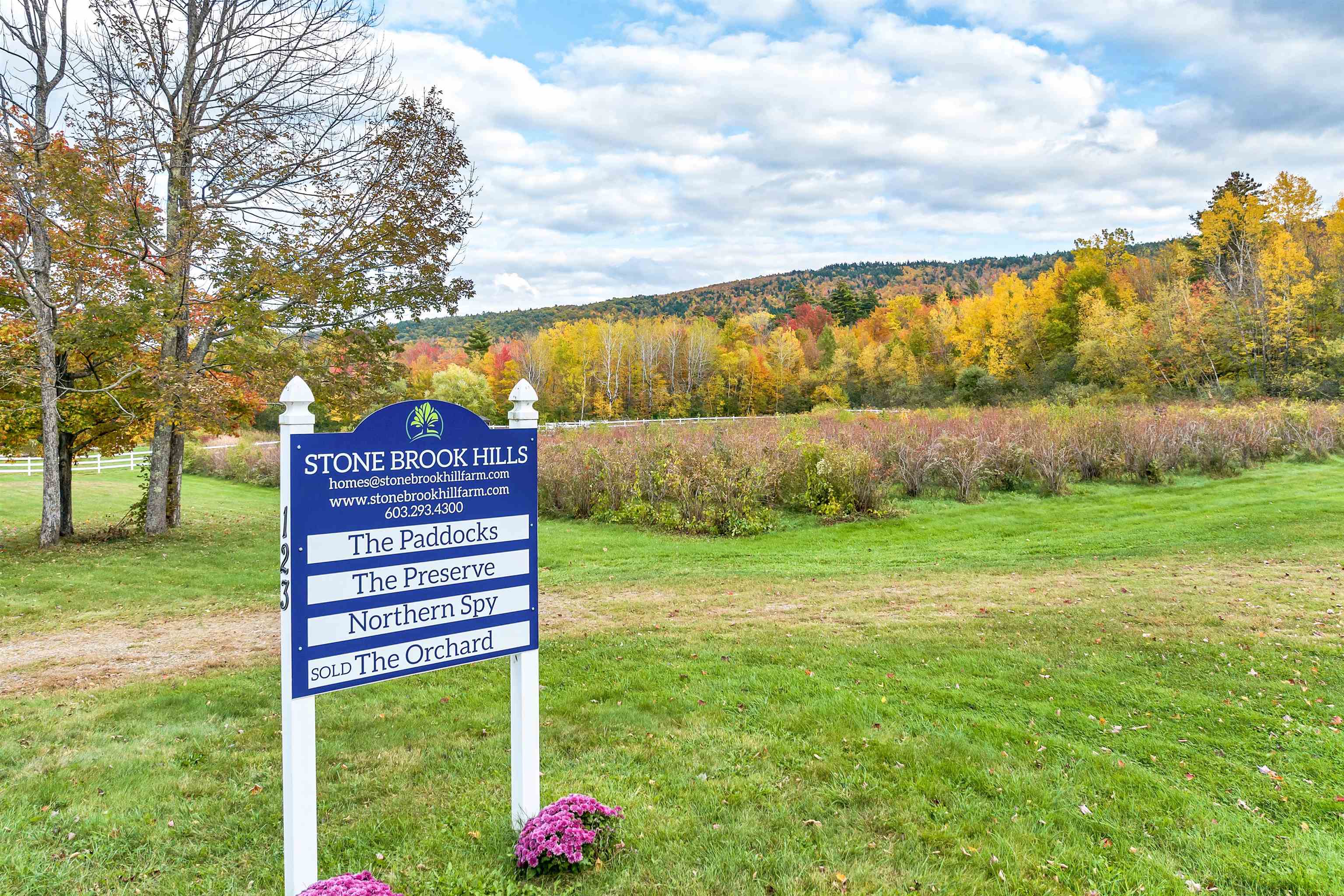 Gilford, New Hampshire, 03249, United States, ,Land,For Sale,1696793