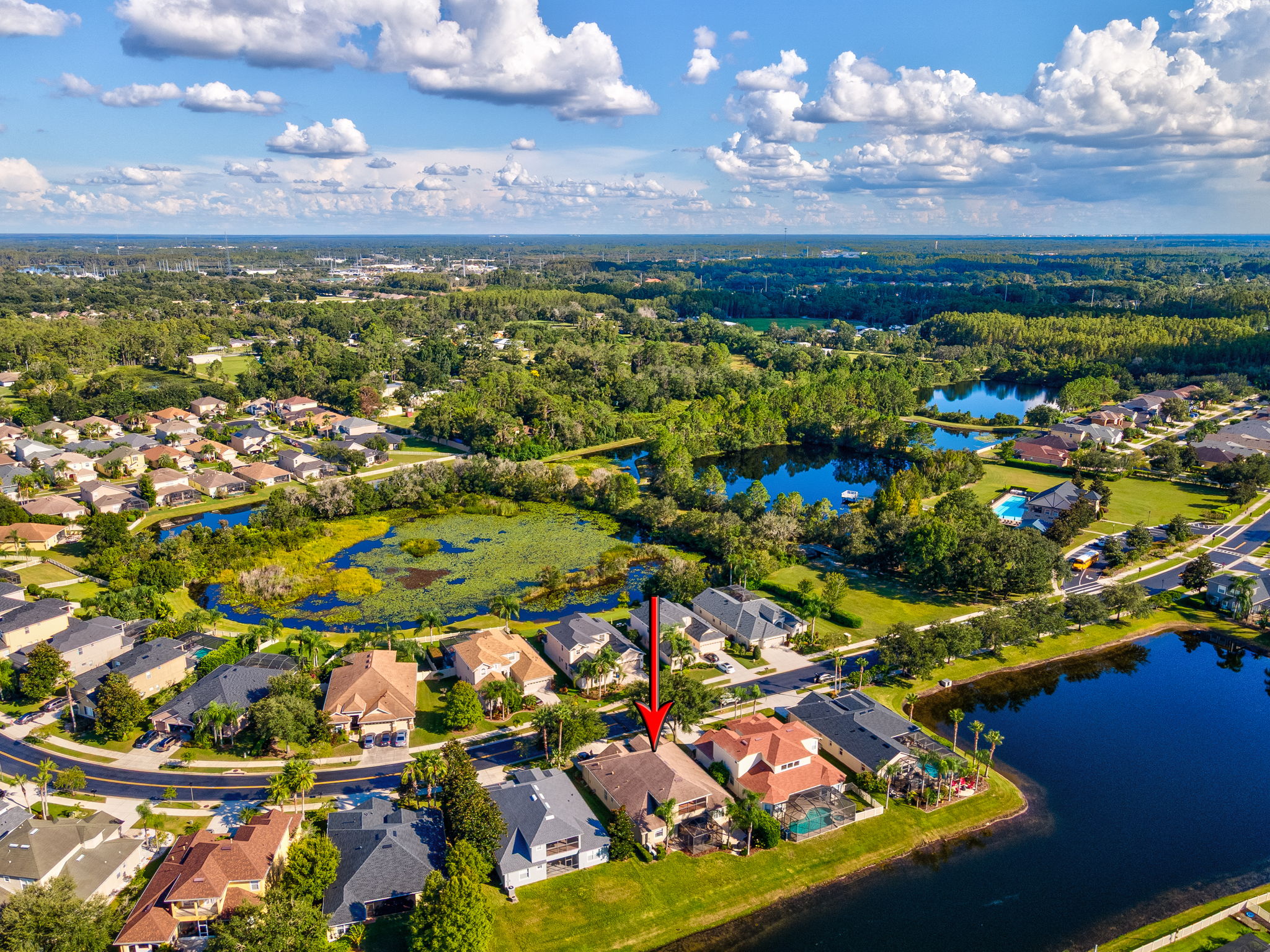 Land O Lakes, Florida, 34638, United States, 4 Bedrooms Bedrooms, ,4 BathroomsBathrooms,Residential,For Sale,1973686