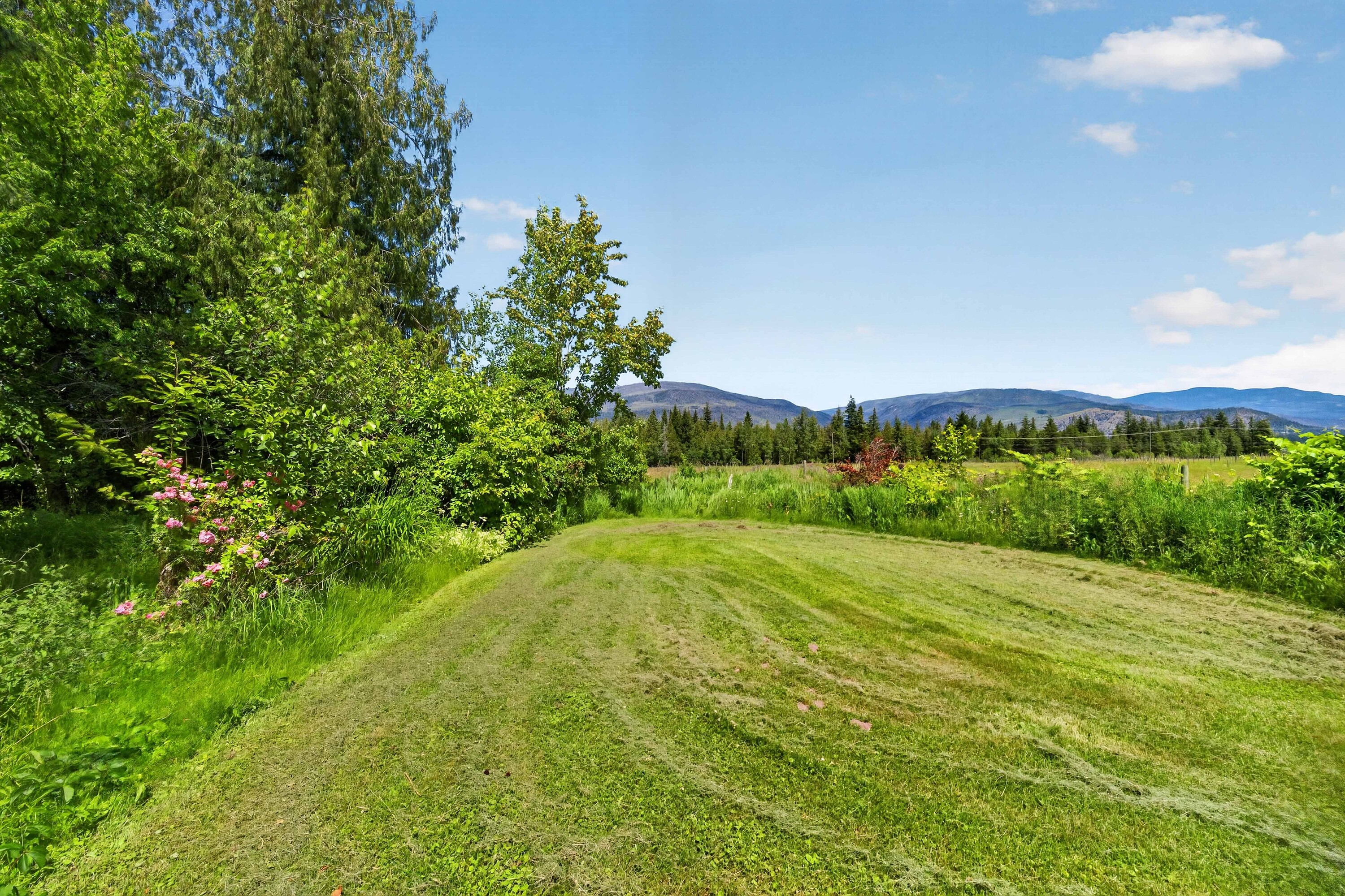  158 Acre Lakeview Homestead - 物件實景