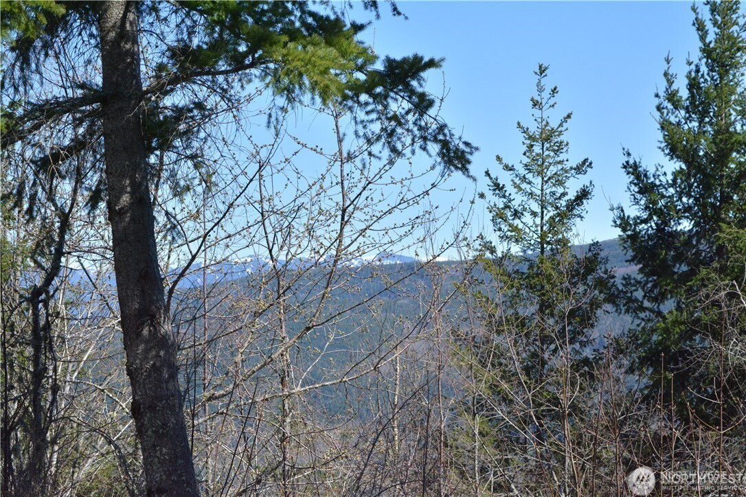 Bellingham, Washington, 98226, United States, ,Land,For Sale,1846536