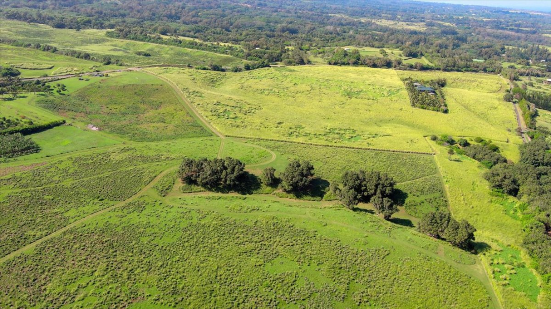Kapaau, Hawaii, 96755, United States, ,Land,For Sale,2005975