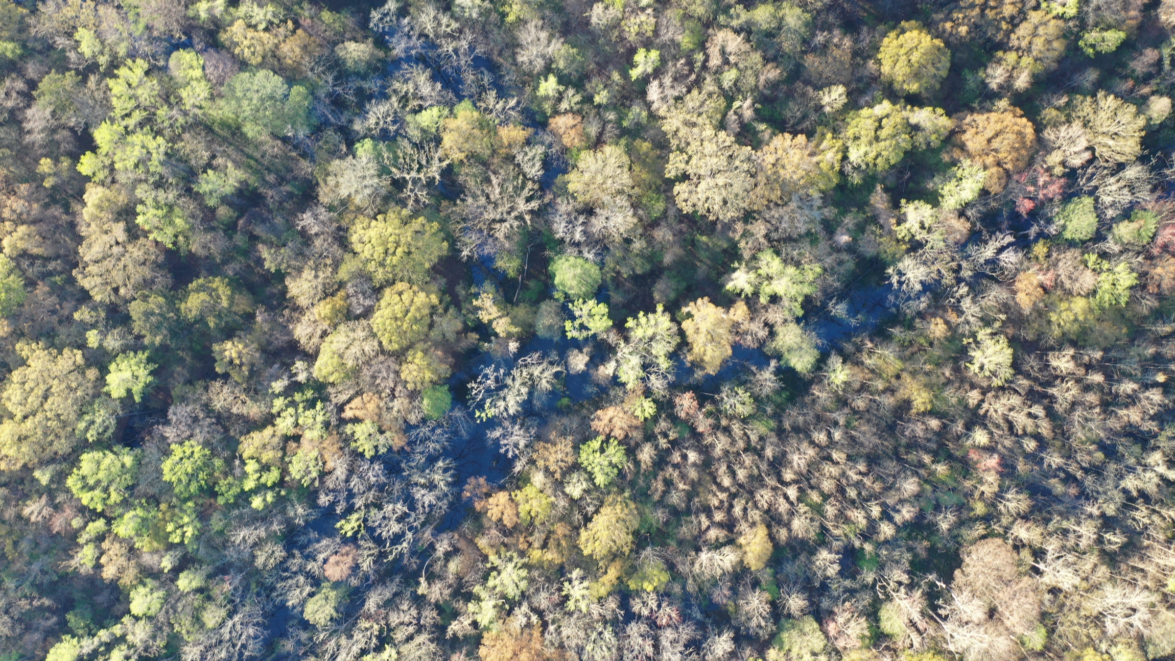  0 Beech Hill Road - 物件實景