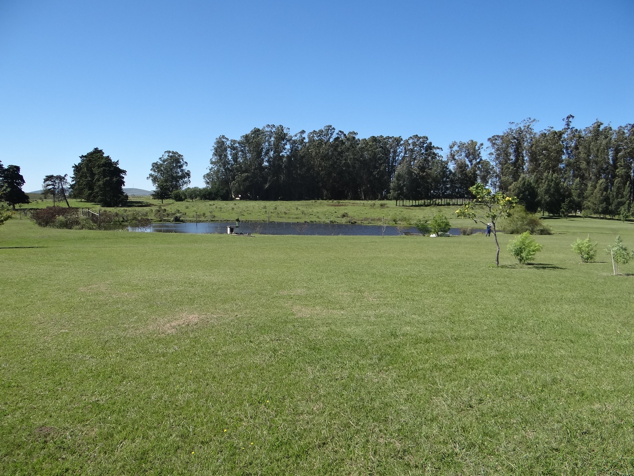 Farm in Pueblo Edén - 物件實景
