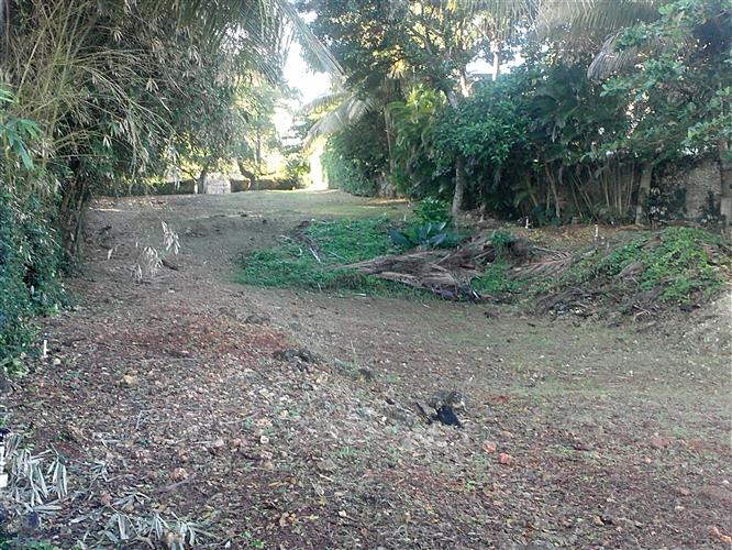 Sosua, DO, ,Land,For Sale,1164552