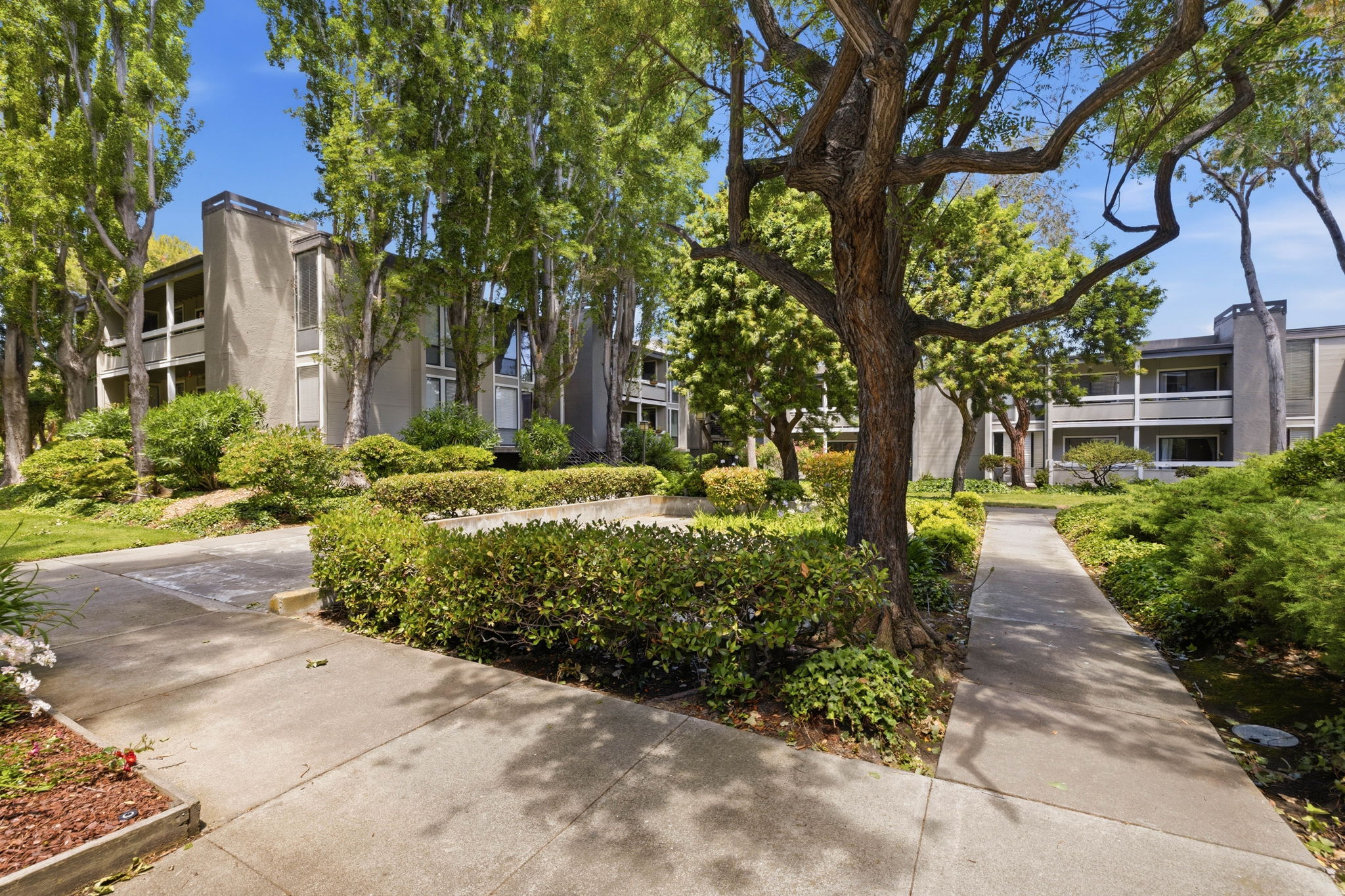  Fabulous Foster City Condo - 物件實景