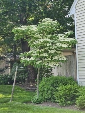 Uxbridge, Massachusetts, 01569, United States, 2 Bedrooms Bedrooms, ,2 BathroomsBathrooms,Residential,For Sale,2006333