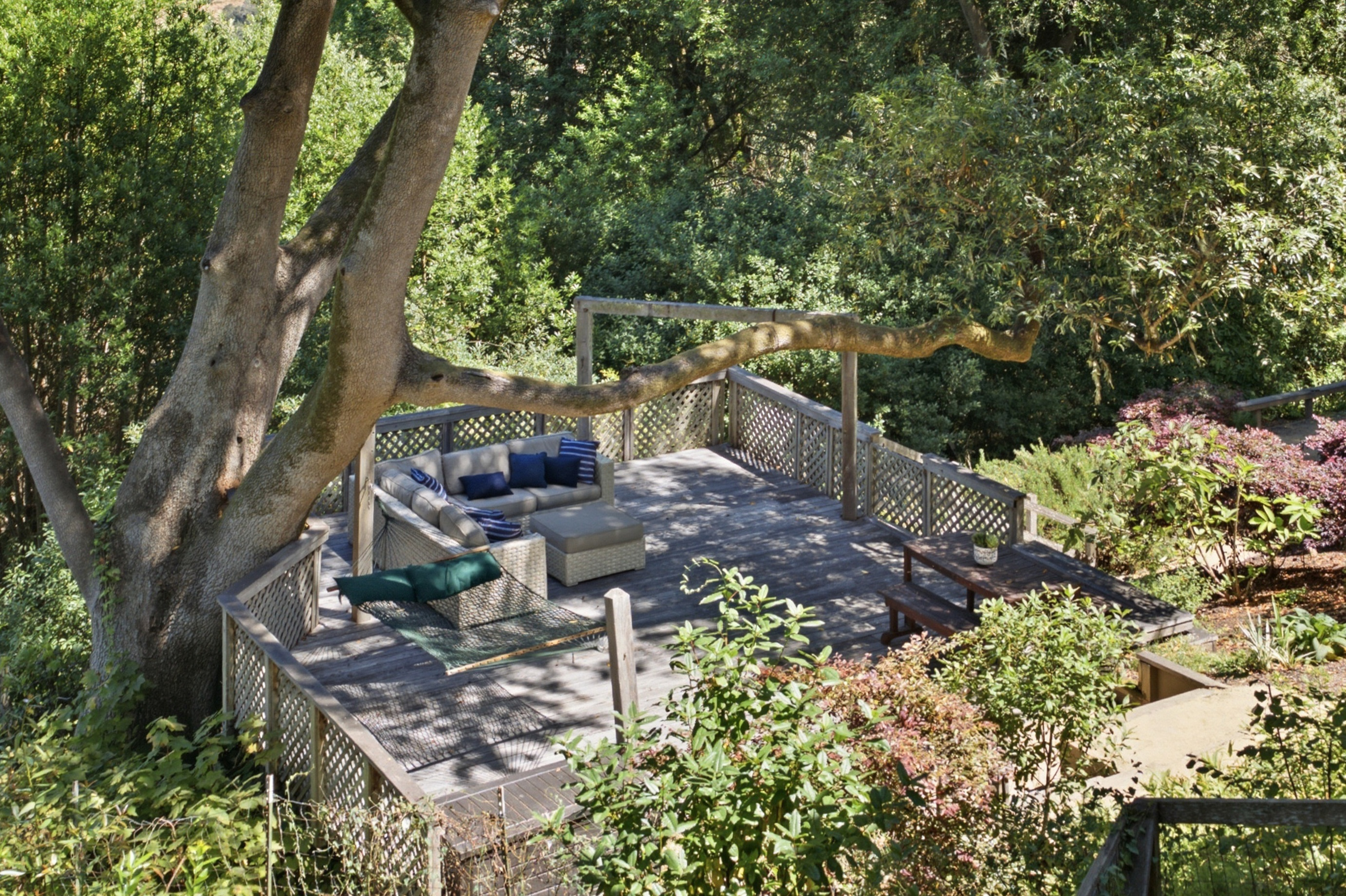  West Marin Legacy Estate - 物件實景