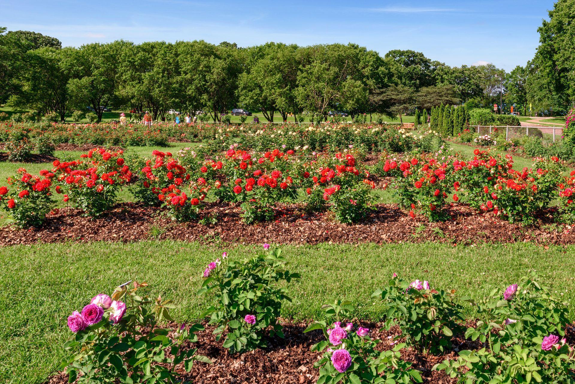 Minneapolis, Minnesota, 55419, United States, ,Residential,For Sale,1987562