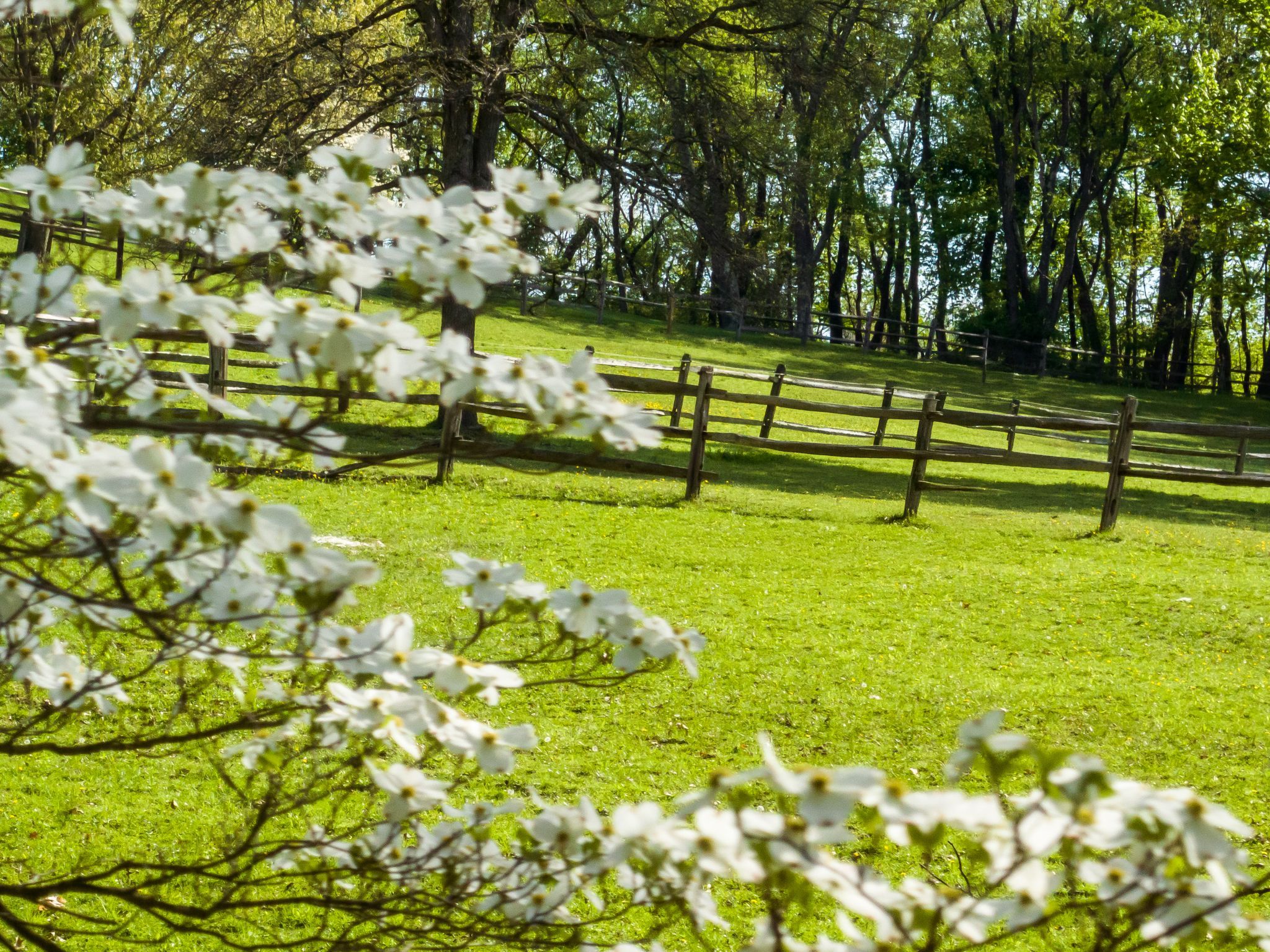  45 Stonedale Road, Sewickley, PA 15143 - 物件實景