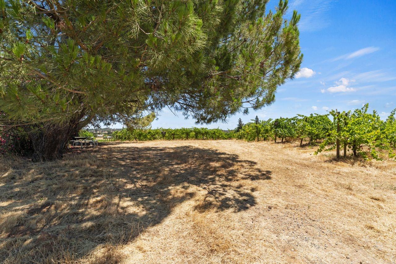 21226 Dickson Road, Plymouth, California, 95669, United States, ,Land,For Sale,21226 Dickson Road,1672447