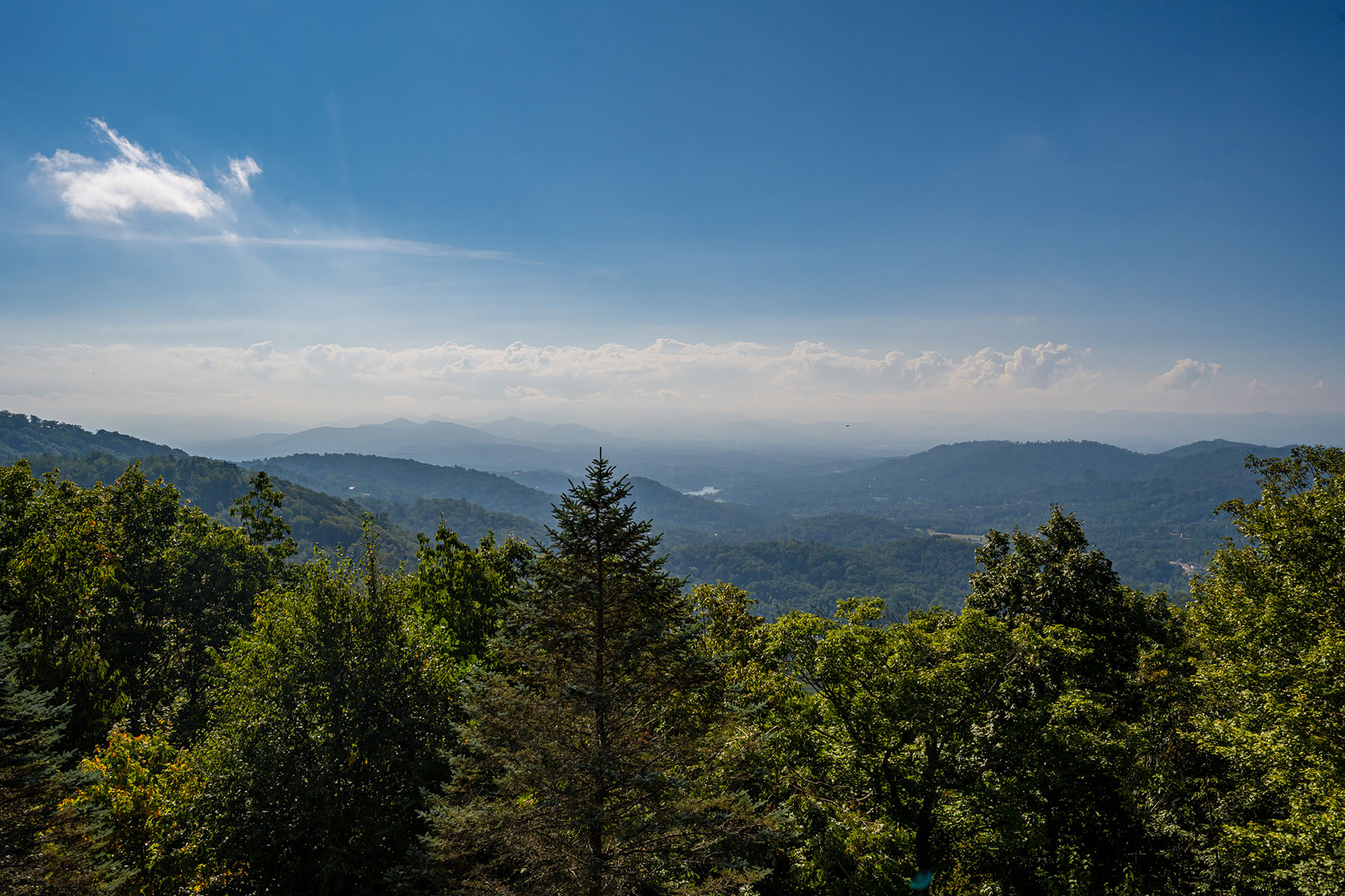  ASHEVILLE - 物件實景