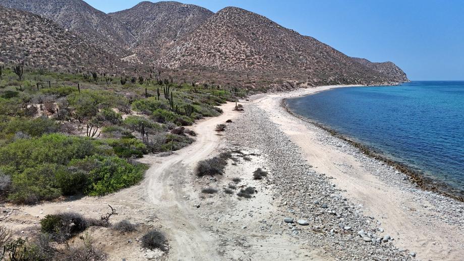 Sin calle, El Jalito, Baja California Sur, 23232, Mexico, 1 Bedroom Bedrooms, ,Residential,For Sale,Sin calle,1652731