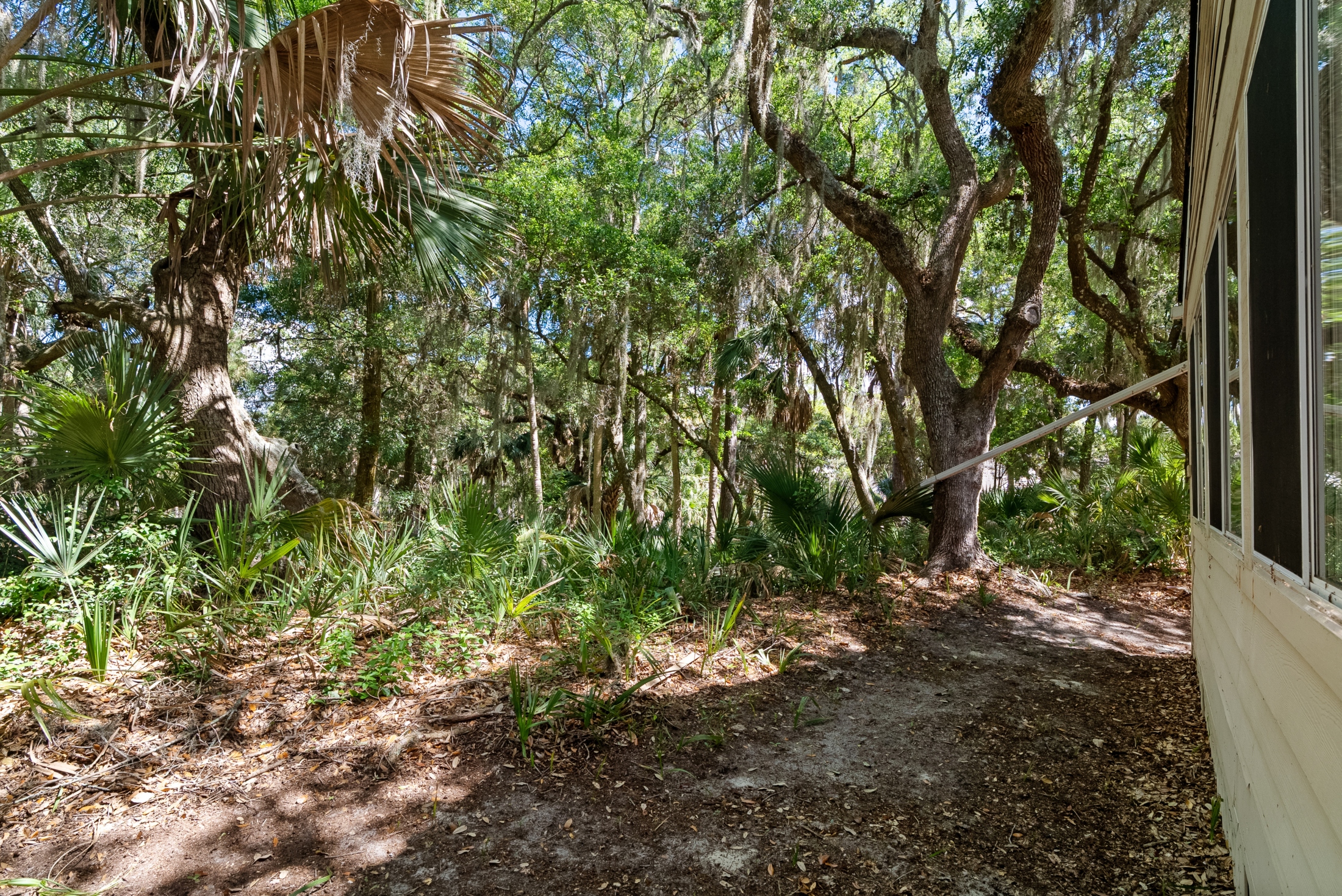  624 Double Eagle Trace, Seabrook Island - 物件實景