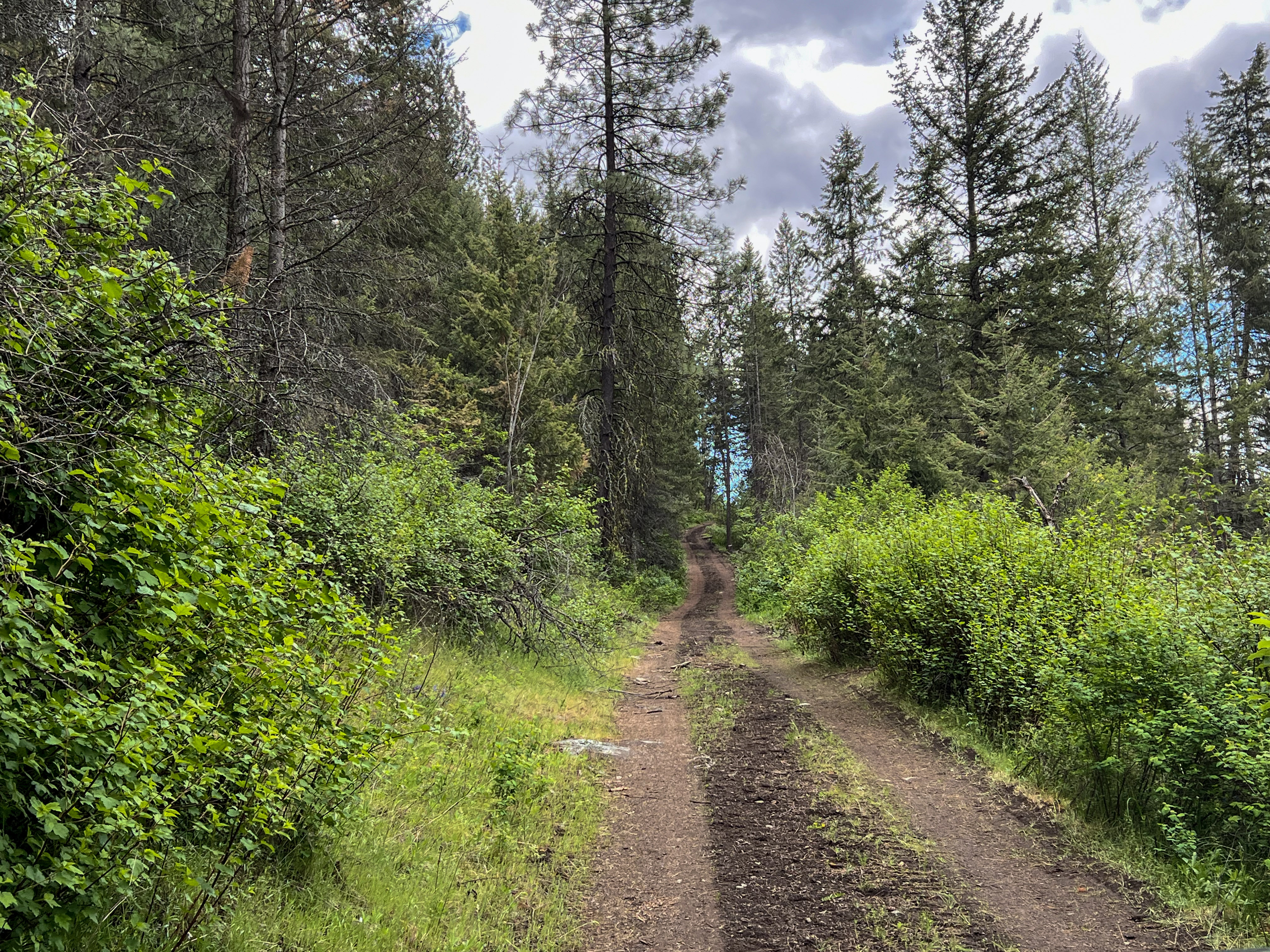 Kettle Falls, Washington, 99141, United States, 3 Bedrooms Bedrooms, ,2 BathroomsBathrooms,Residential,For Sale,1985709