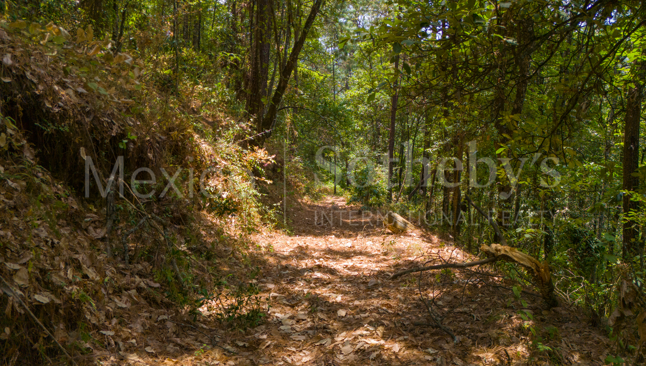  Terreno Rancho de Paso Hondo, Lote 17 - 物件實景