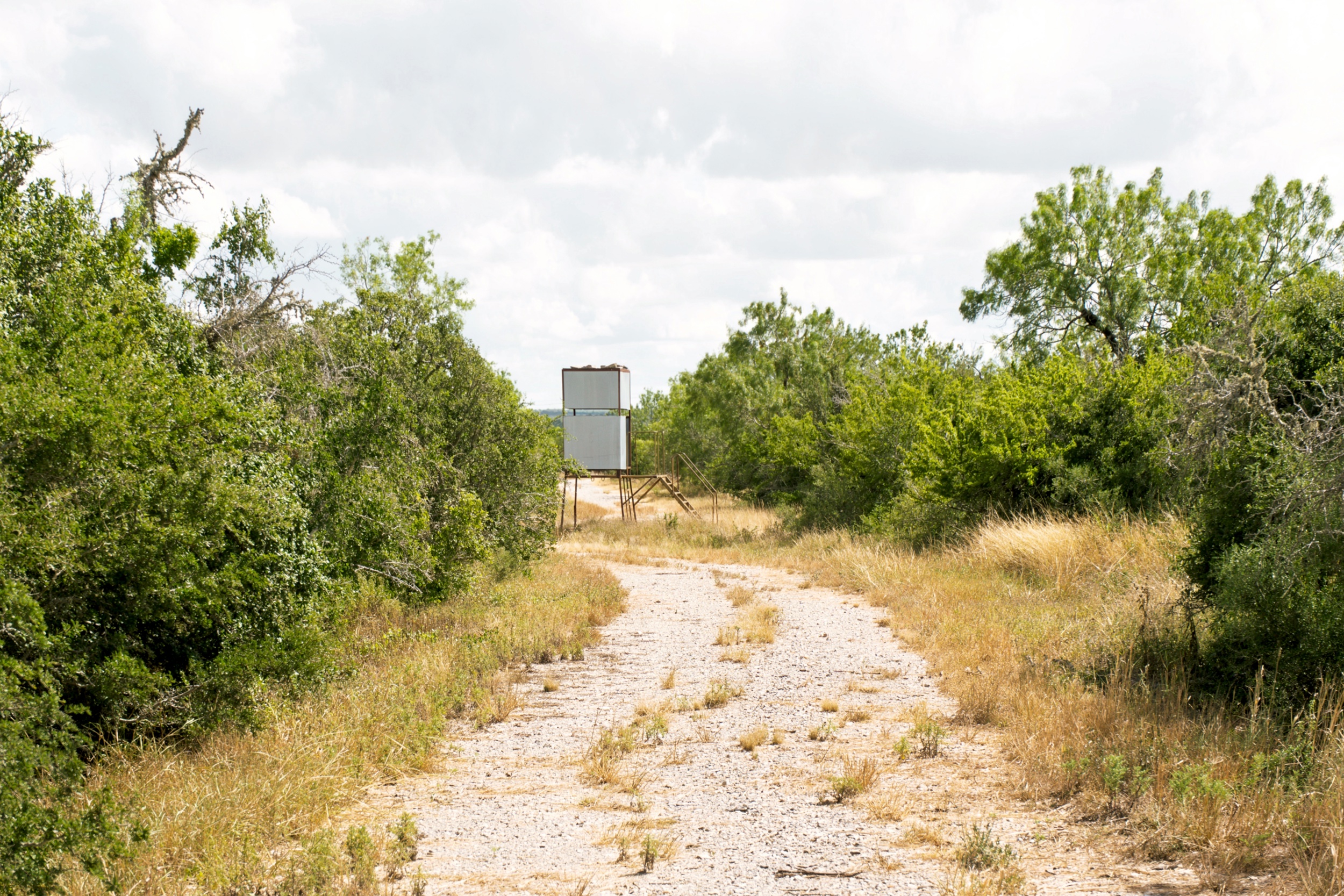  1234.89 +/- Acres, Santa Clara Ranch, Atascosa County, Falls City, TX 78113 - 物件實景