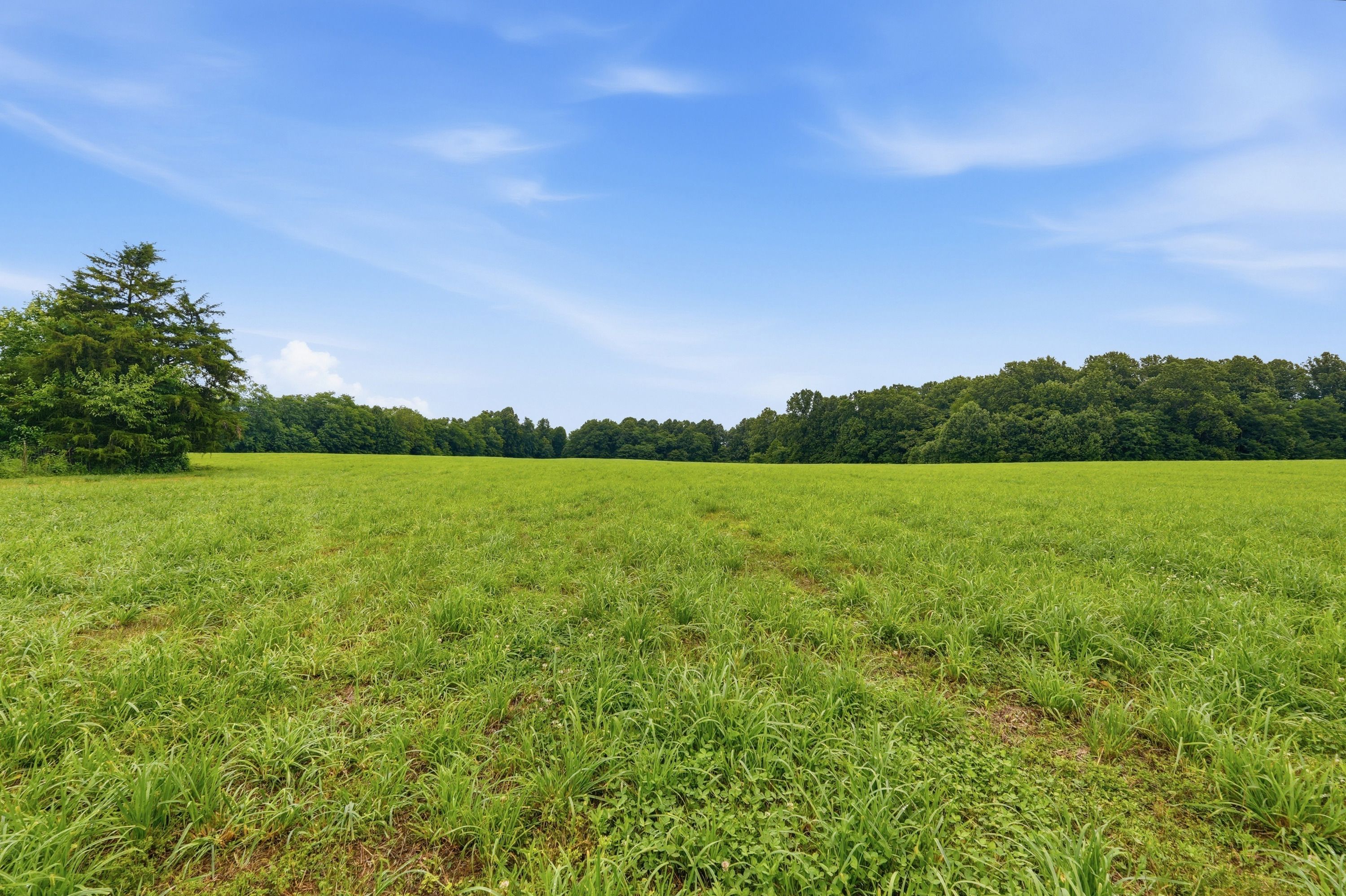  3850 Smith Lane, La Grange, KY 40031 - 物件實景
