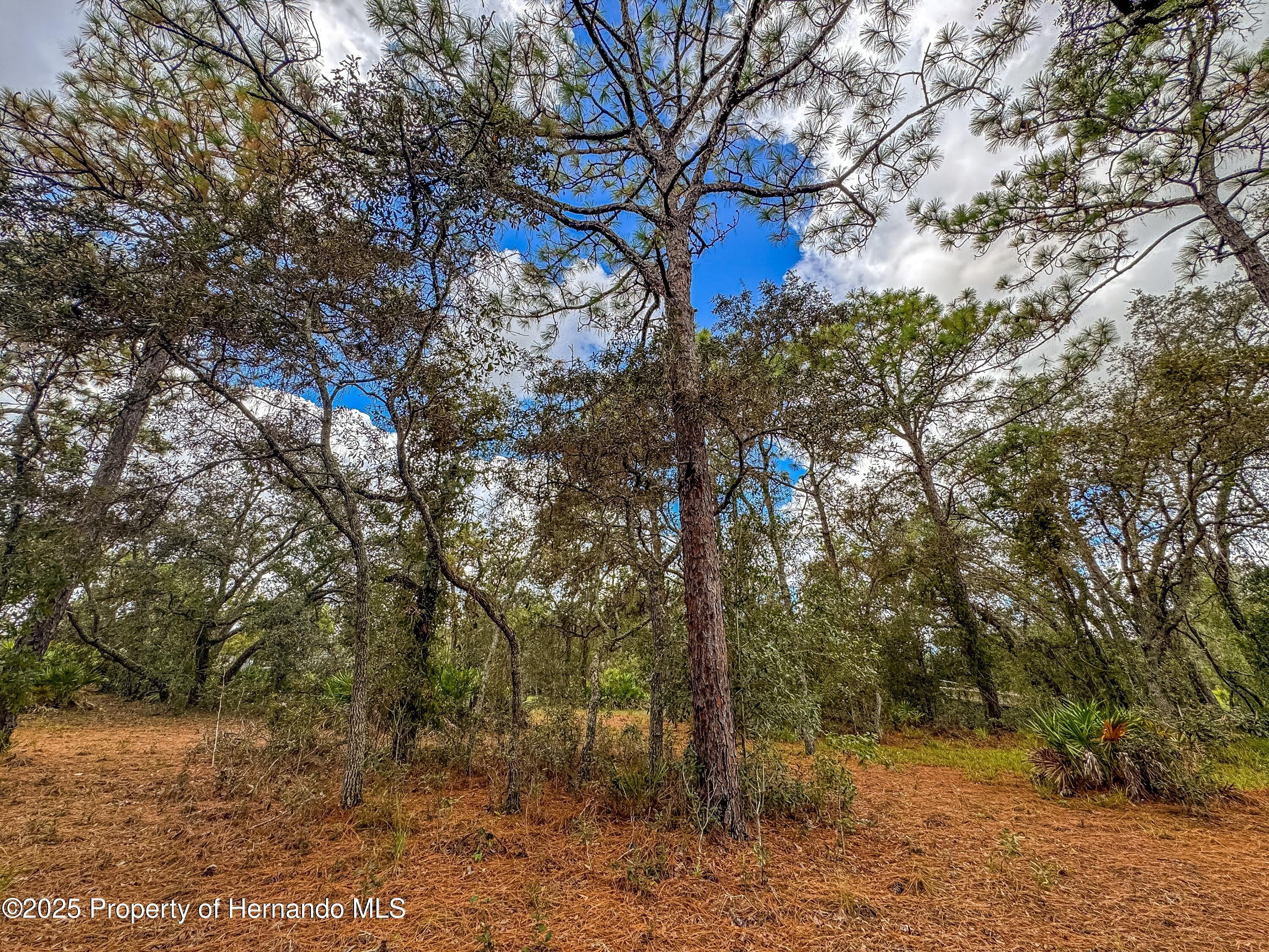 Brooksville, Florida, 34613, United States, 4 Bedrooms Bedrooms, ,2 BathroomsBathrooms,Residential,For Sale,1975088