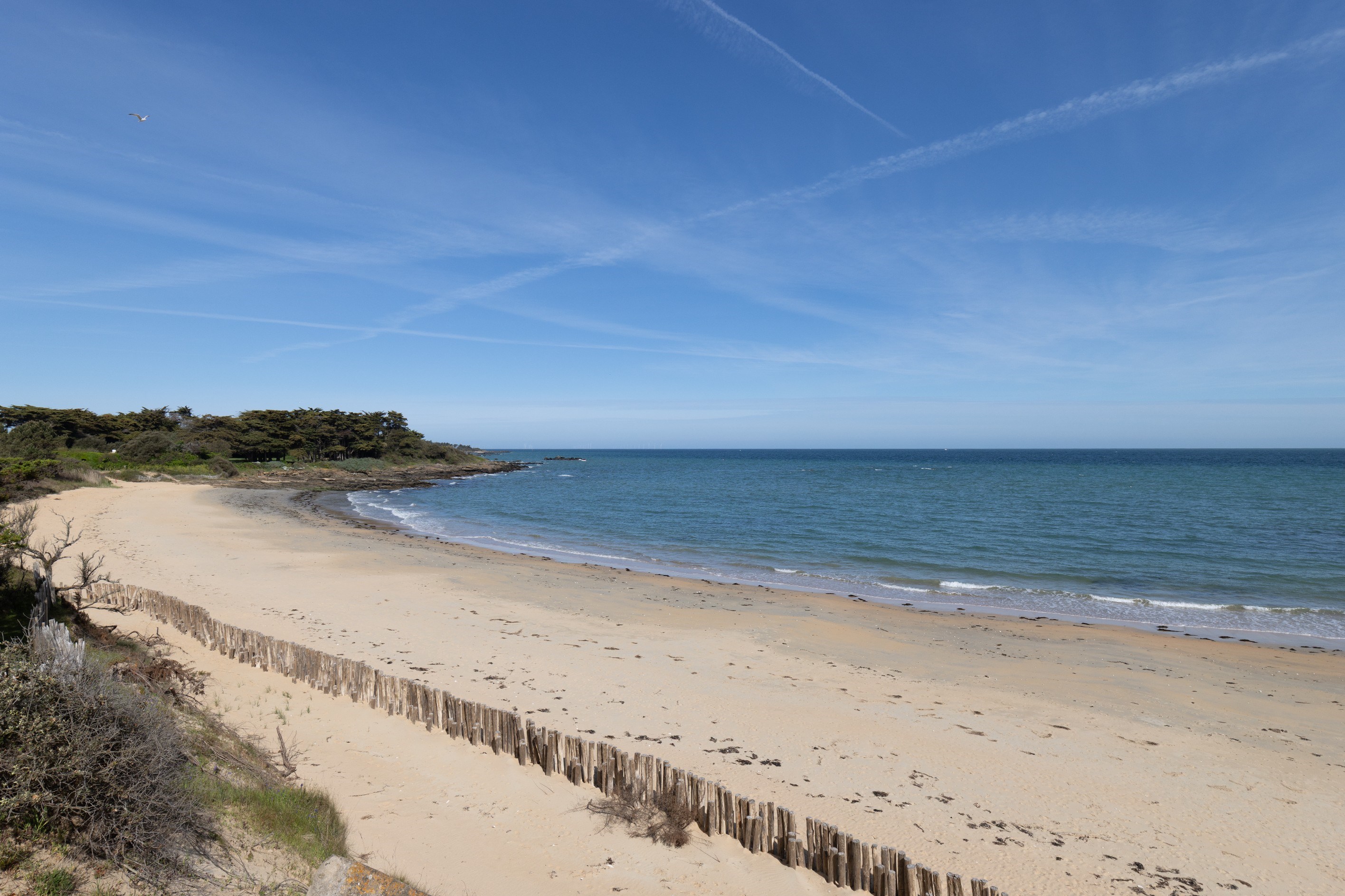  Maison - 物件實景