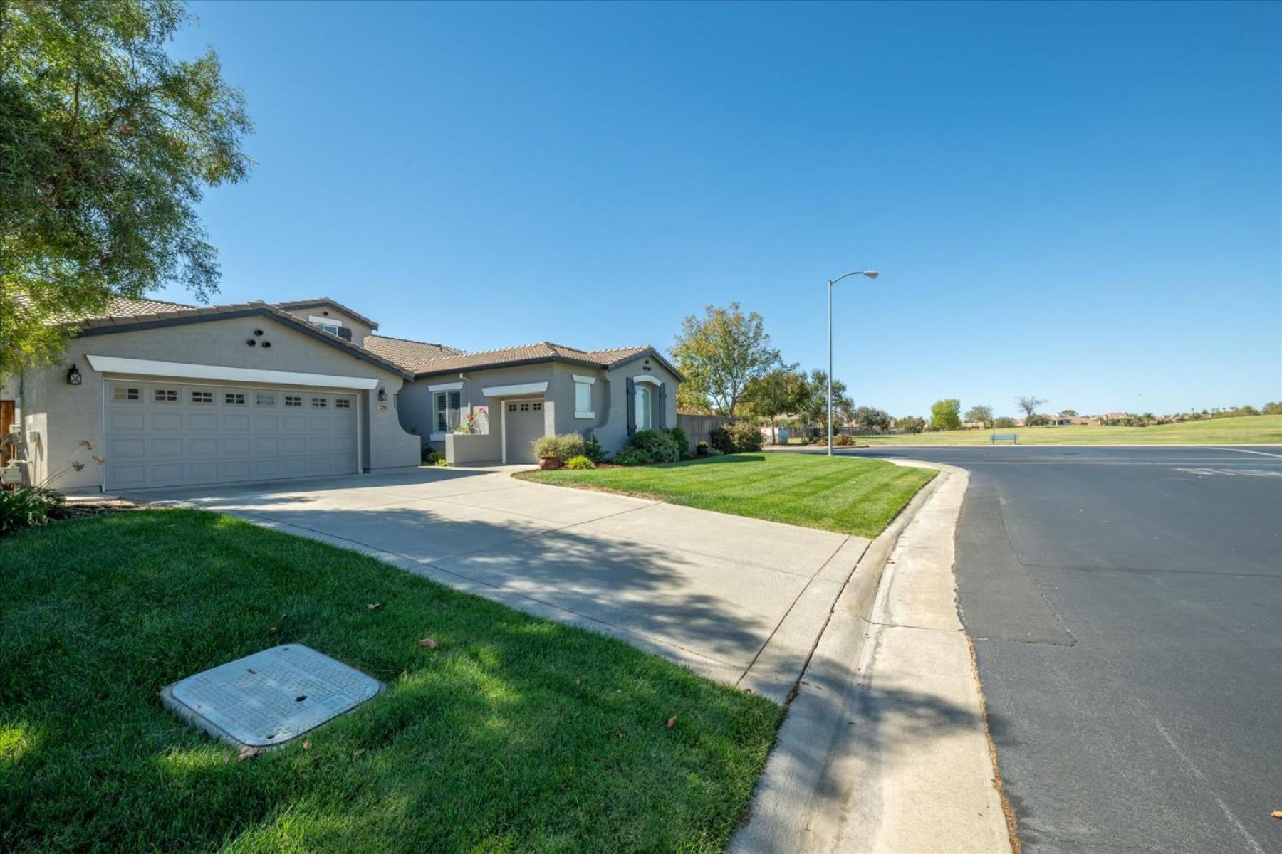  33203 Pintail Street, Woodland, CA 95695 - 物件實景